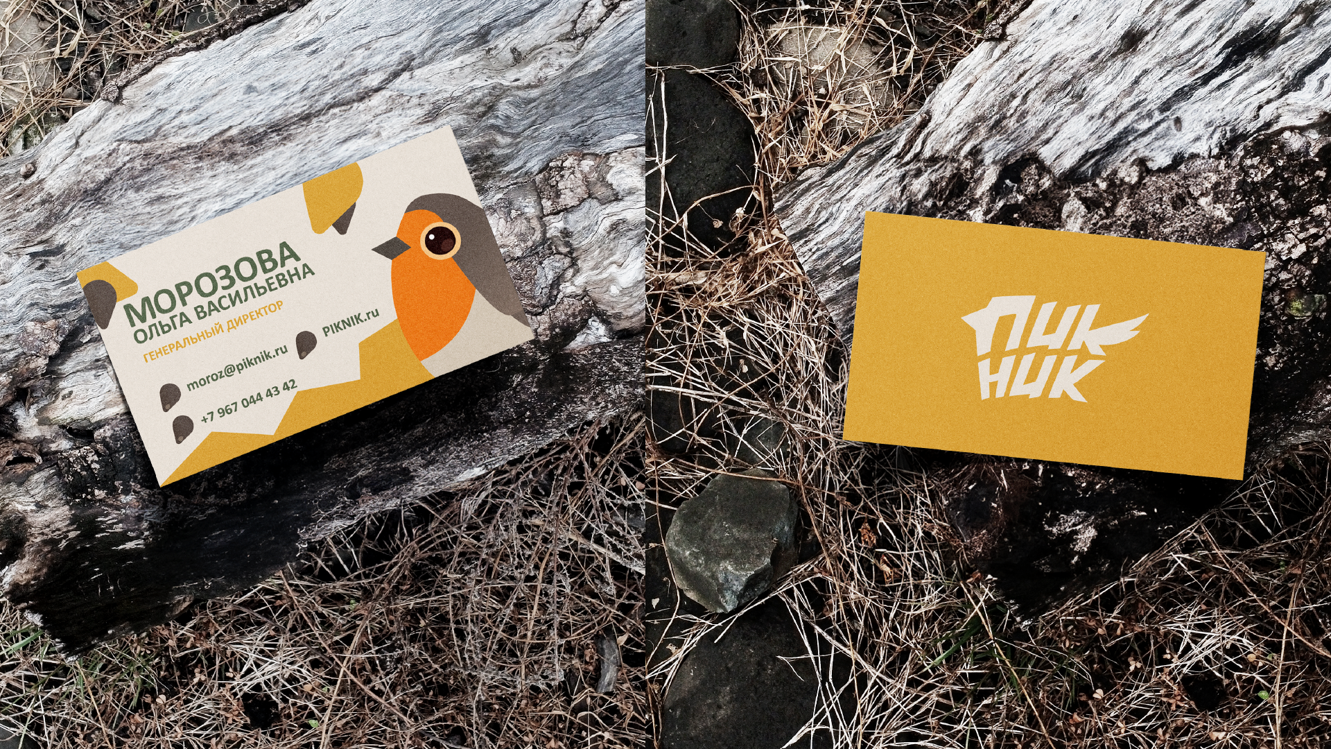 Пикник: корм для птиц — Изображение №8 — Брендинг на Dprofile