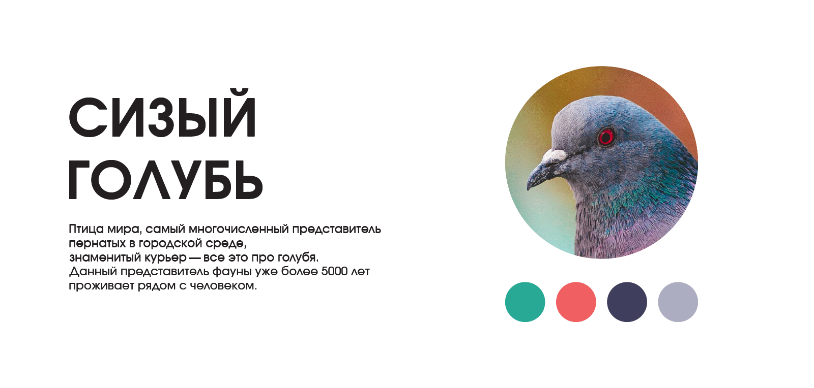 Серия пиктограмм — Изображение №3 — Графика на Dprofile