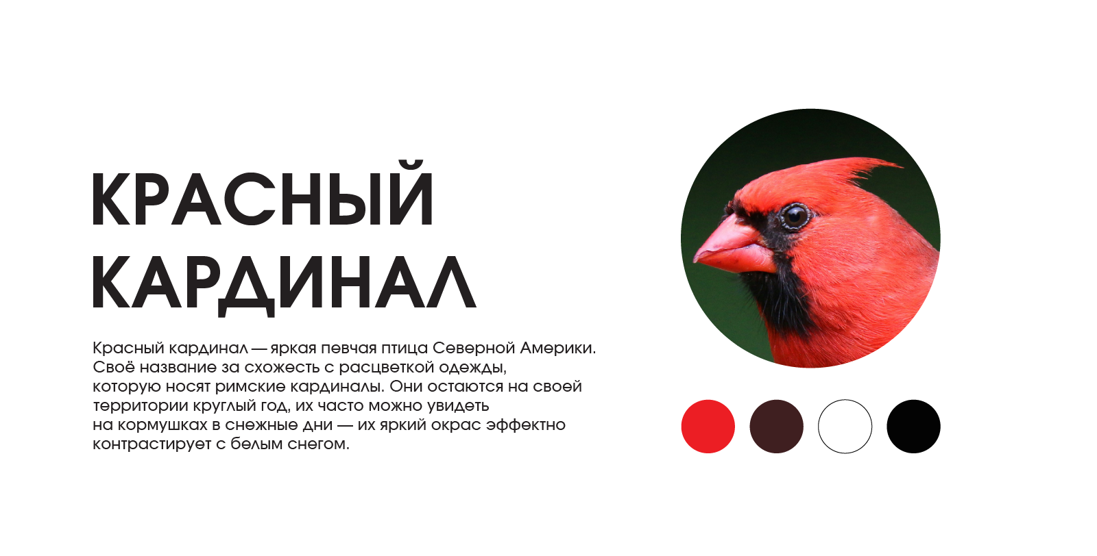 Серия пиктограмм — Изображение №9 — Графика на Dprofile