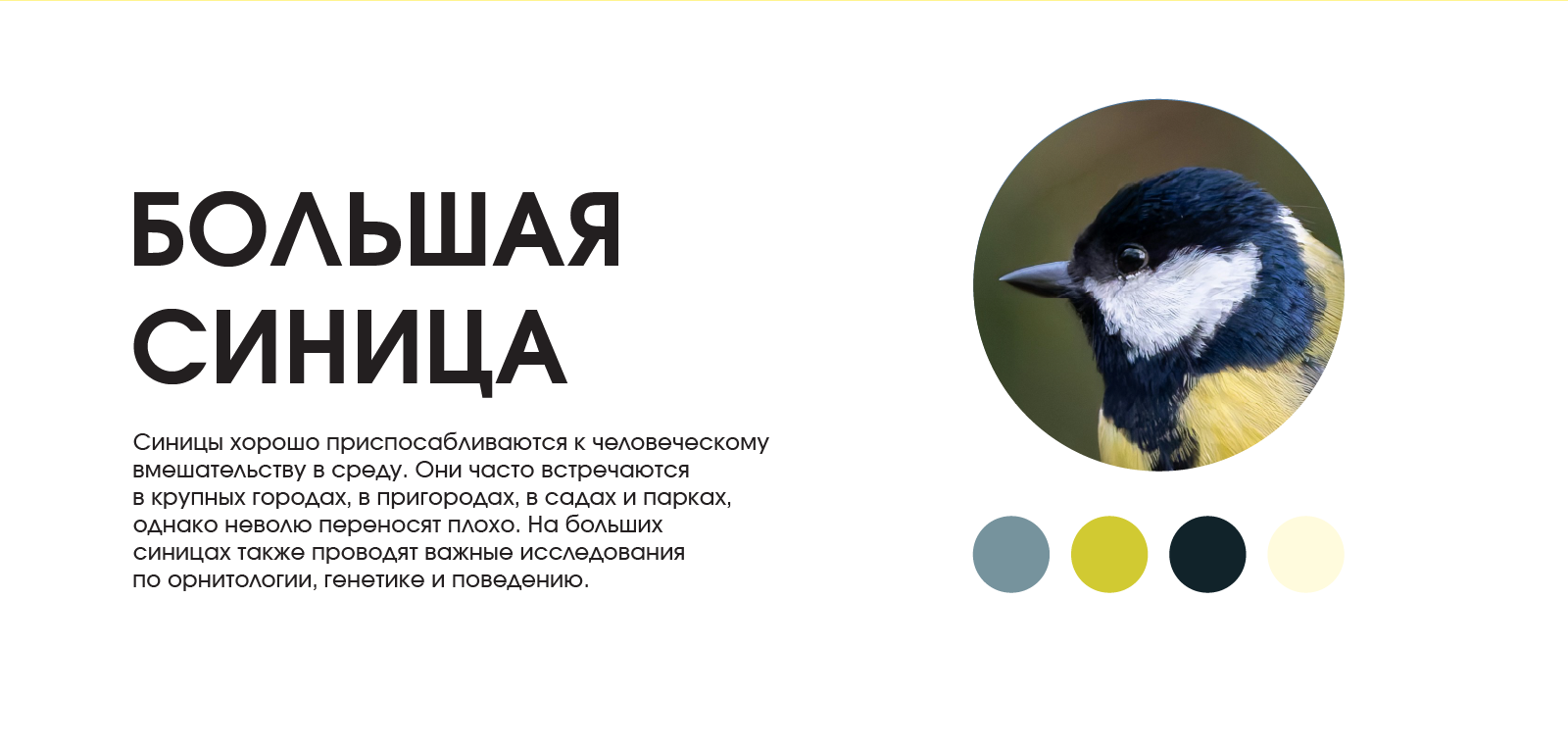 Серия пиктограмм — Изображение №5 — Графика на Dprofile