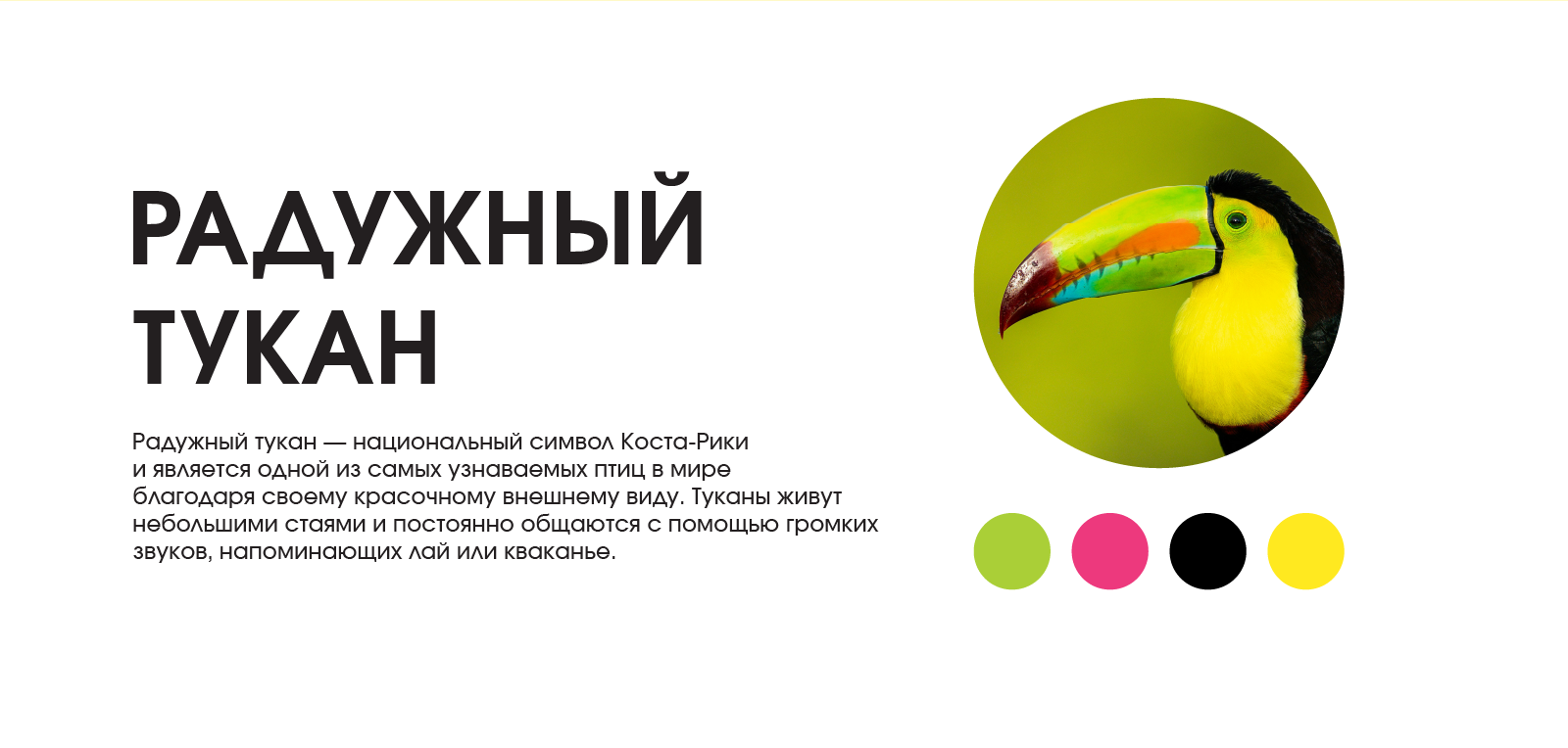 Серия пиктограмм — Изображение №11 — Графика на Dprofile