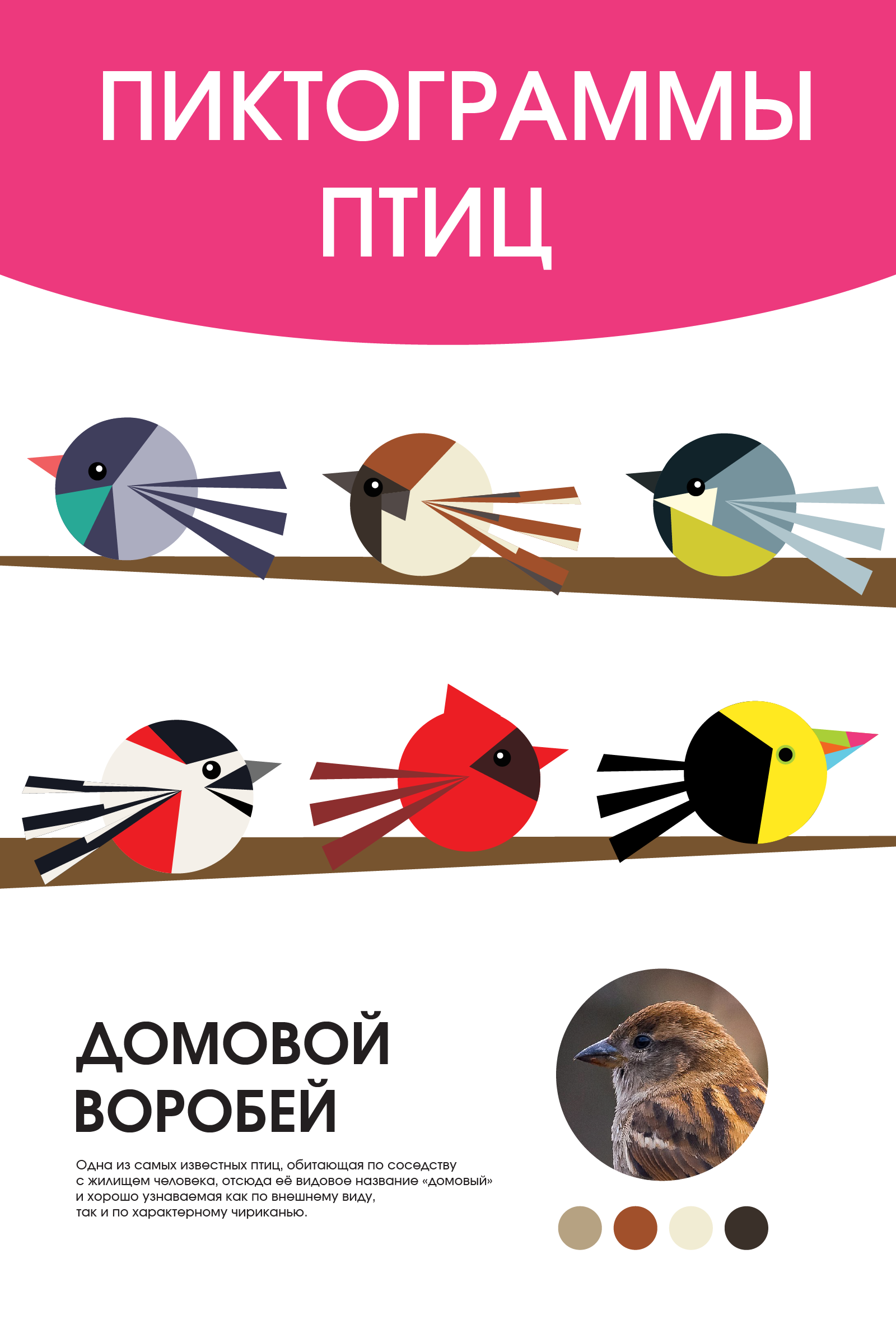Серия пиктограмм — Изображение №1 — Графика на Dprofile