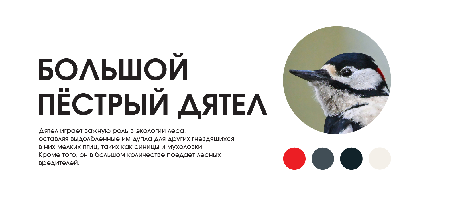 Серия пиктограмм — Изображение №7 — Графика на Dprofile