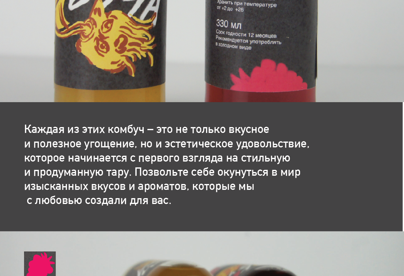 Комбуча в стиле стрит арта — Изображение №2 — Брендинг, Графика на Dprofile