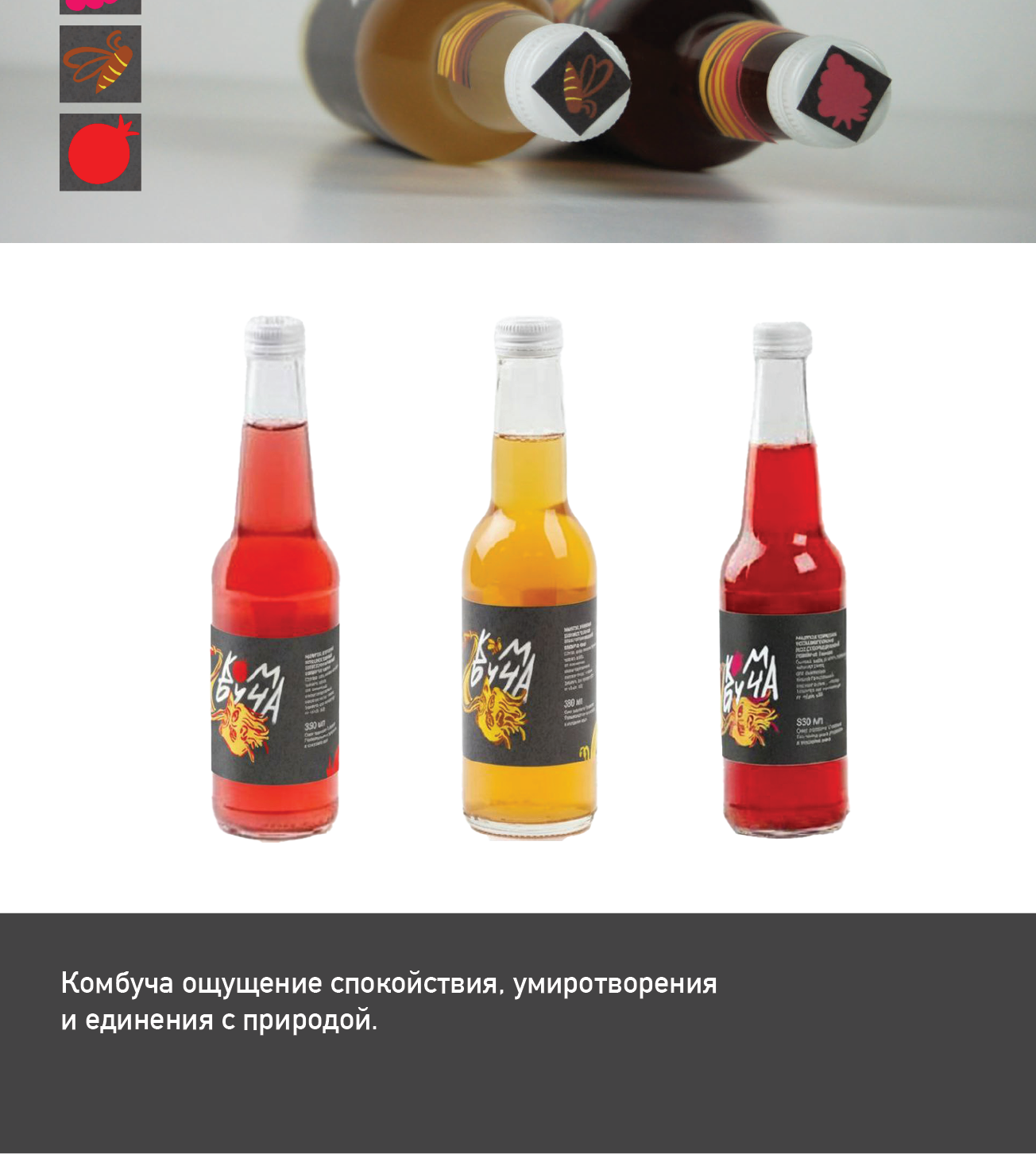 Комбуча в стиле стрит арта — Изображение №3 — Брендинг, Графика на Dprofile