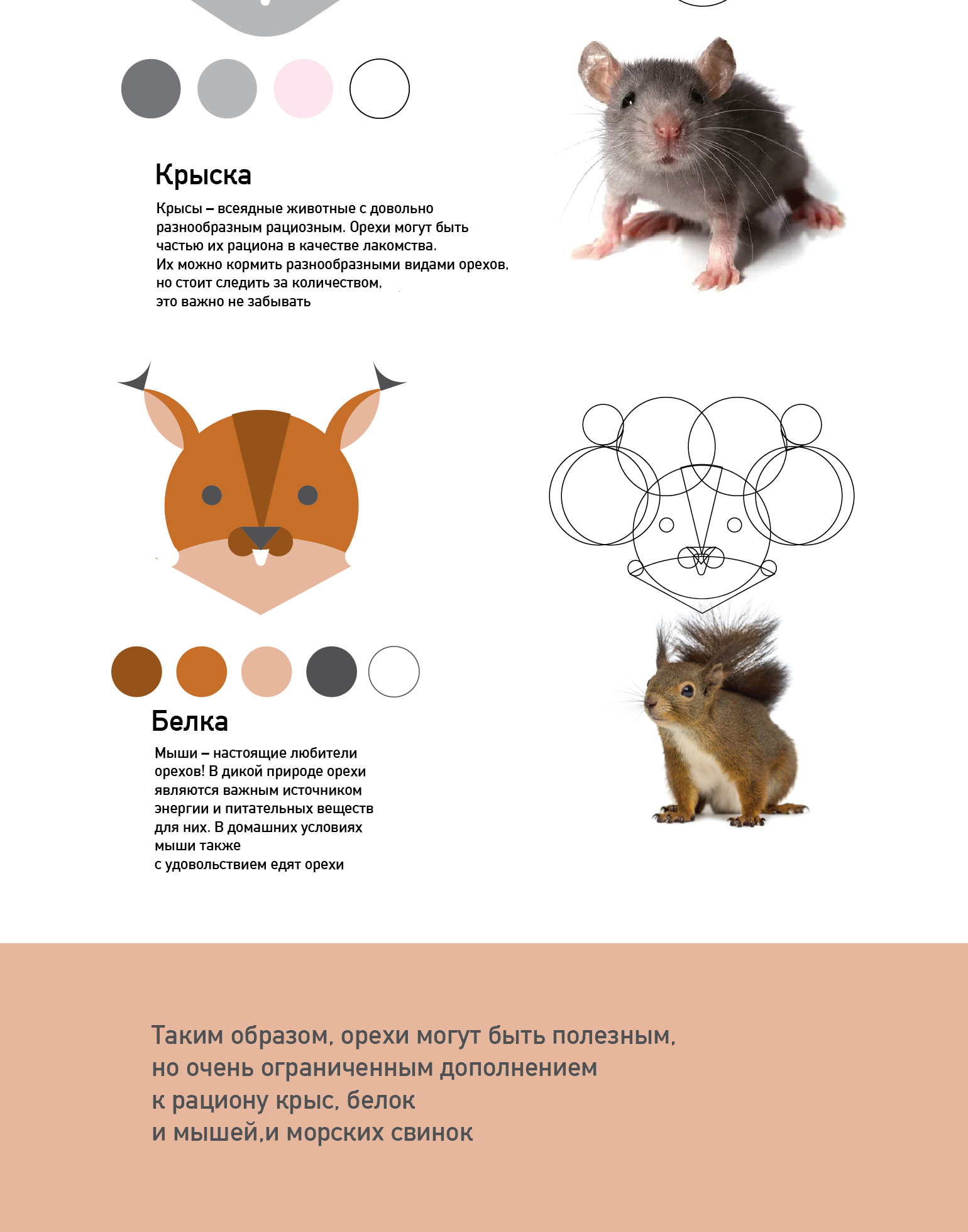 серия пиктограм — Изображение №4 — Иллюстрация, Графика на Dprofile
