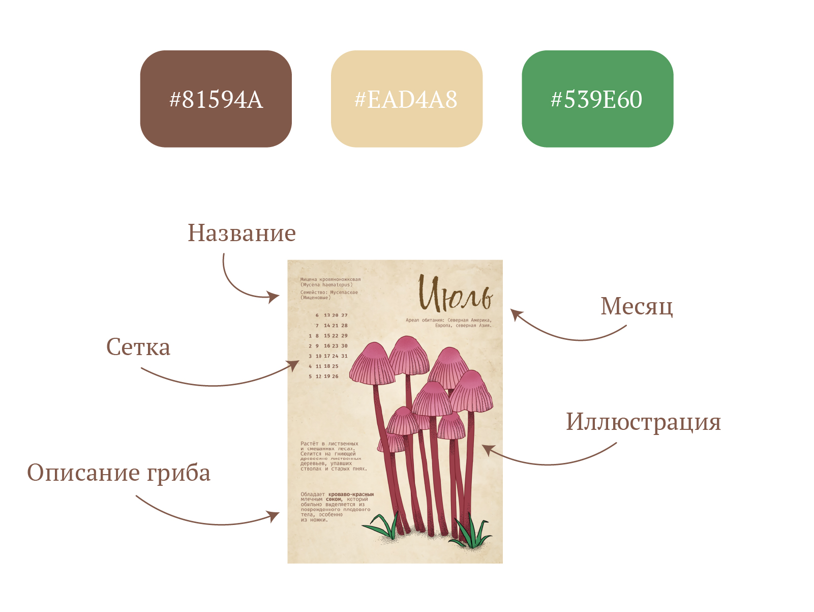 Календарь: Грибы — Изображение №2 — Брендинг, Иллюстрация на Dprofile