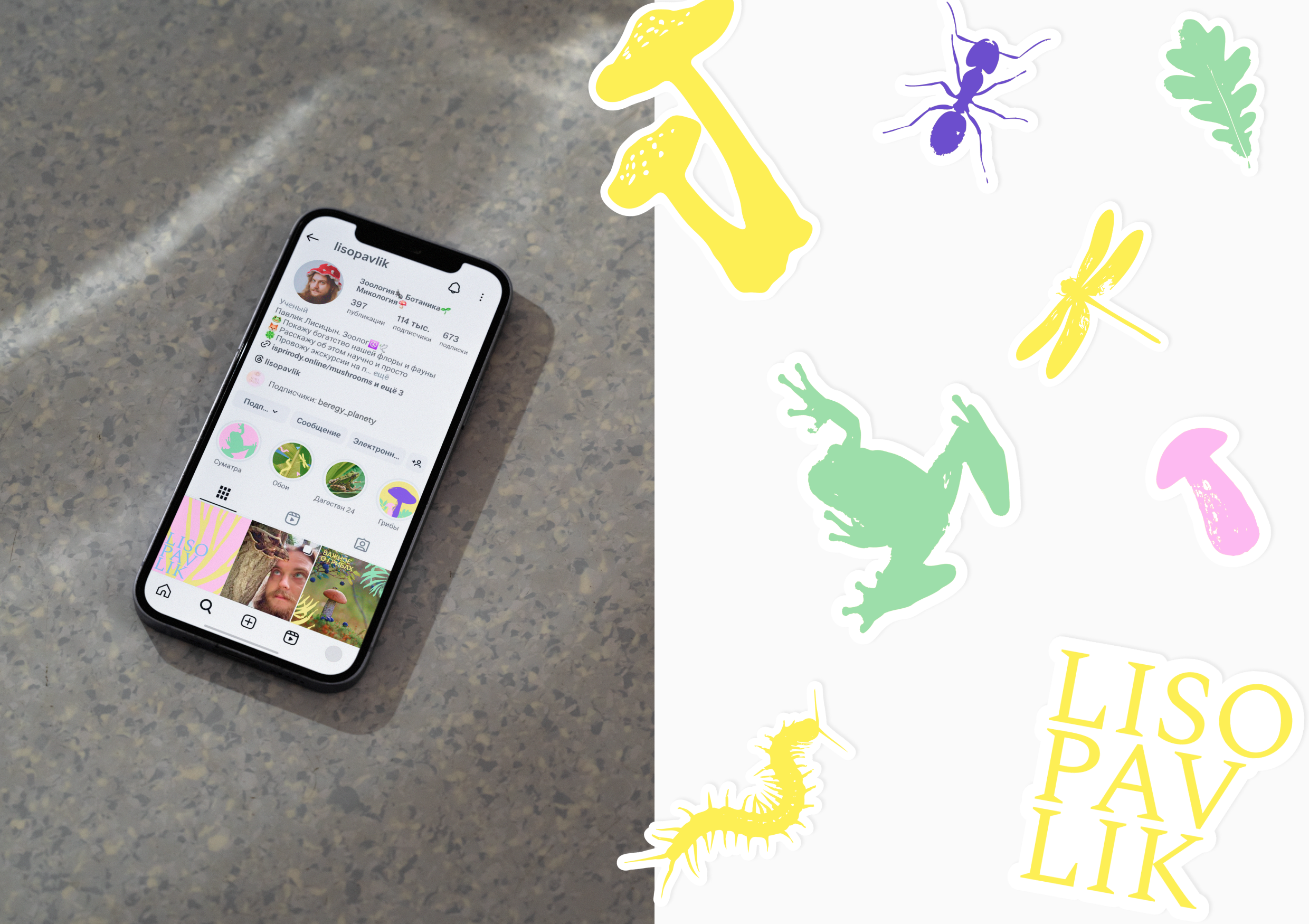 LISOPAVLIK — Изображение №4 — Брендинг на Dprofile
