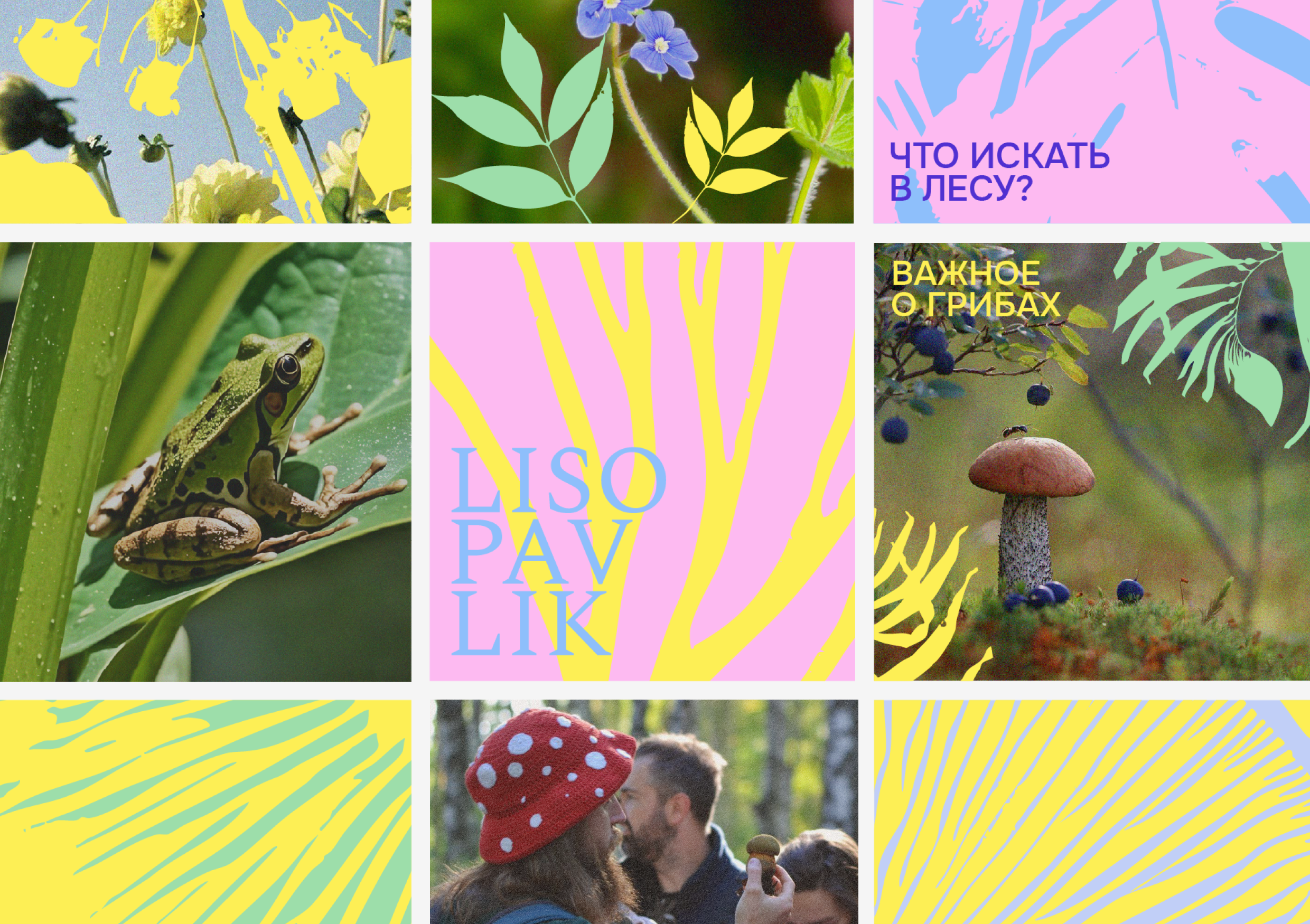 LISOPAVLIK — Изображение №3 — Брендинг на Dprofile