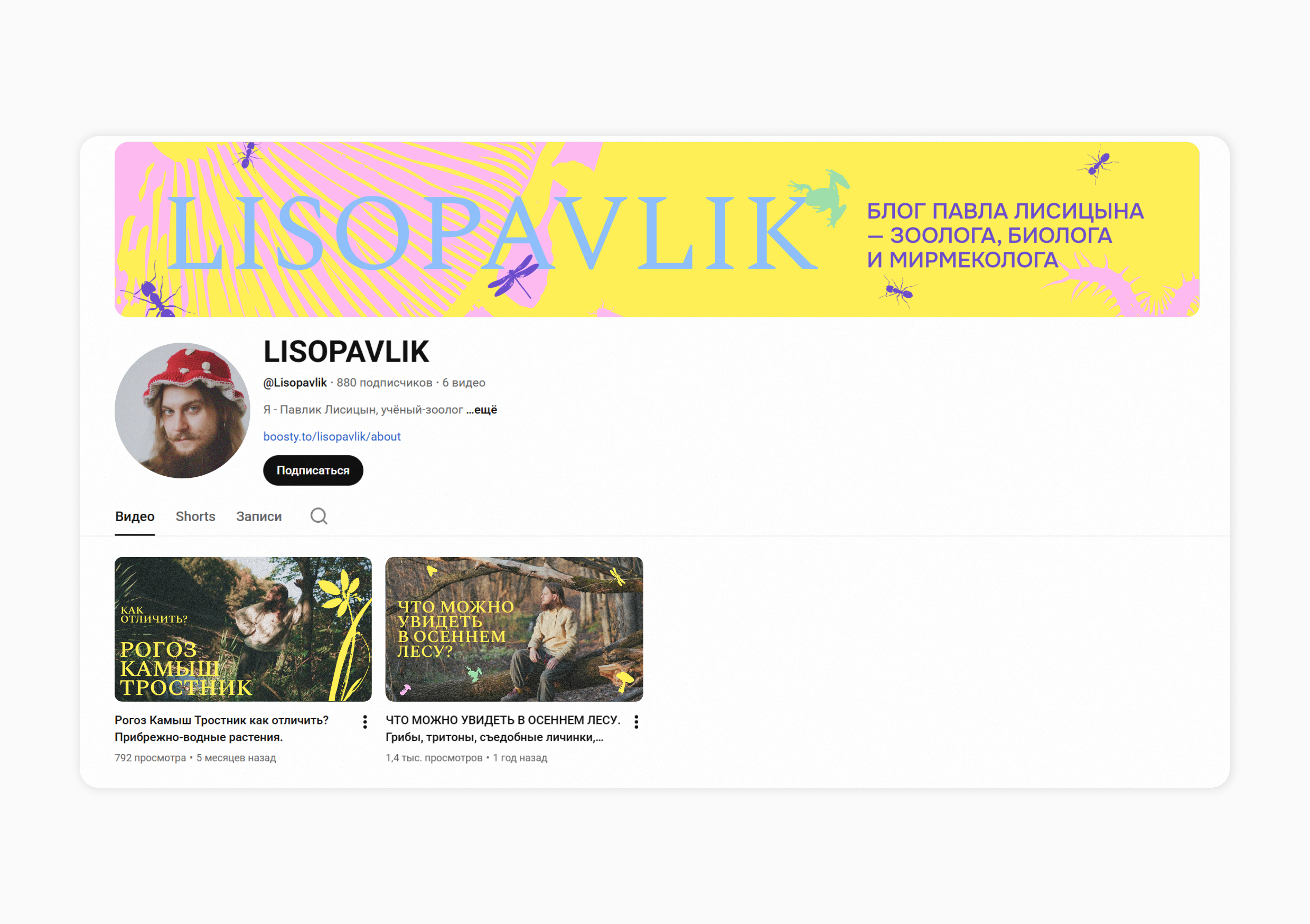LISOPAVLIK — Изображение №5 — Брендинг на Dprofile