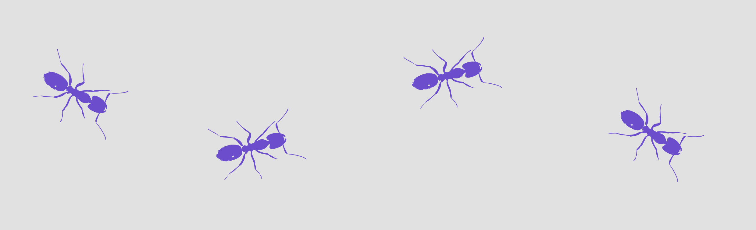 LISOPAVLIK — Изображение №13 — Брендинг на Dprofile