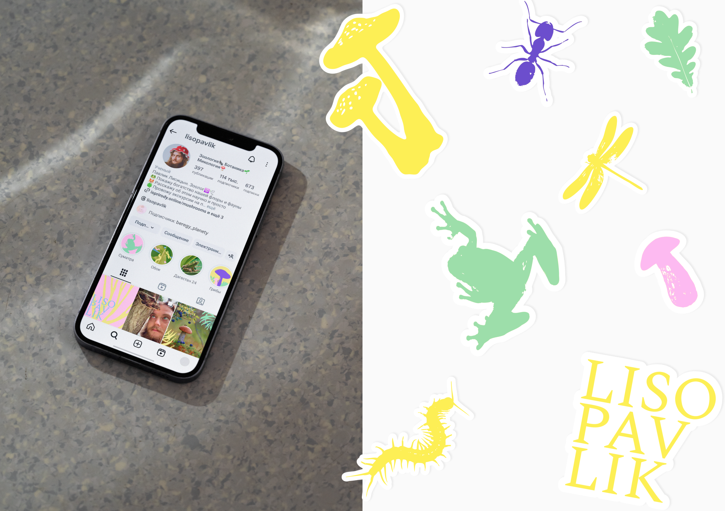 LISOPAVLIK — Изображение №4 — Брендинг на Dprofile