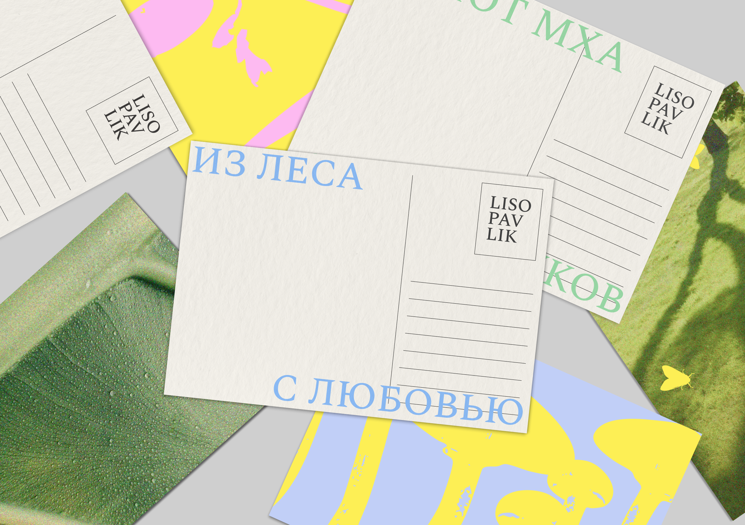 LISOPAVLIK — Изображение №7 — Брендинг на Dprofile