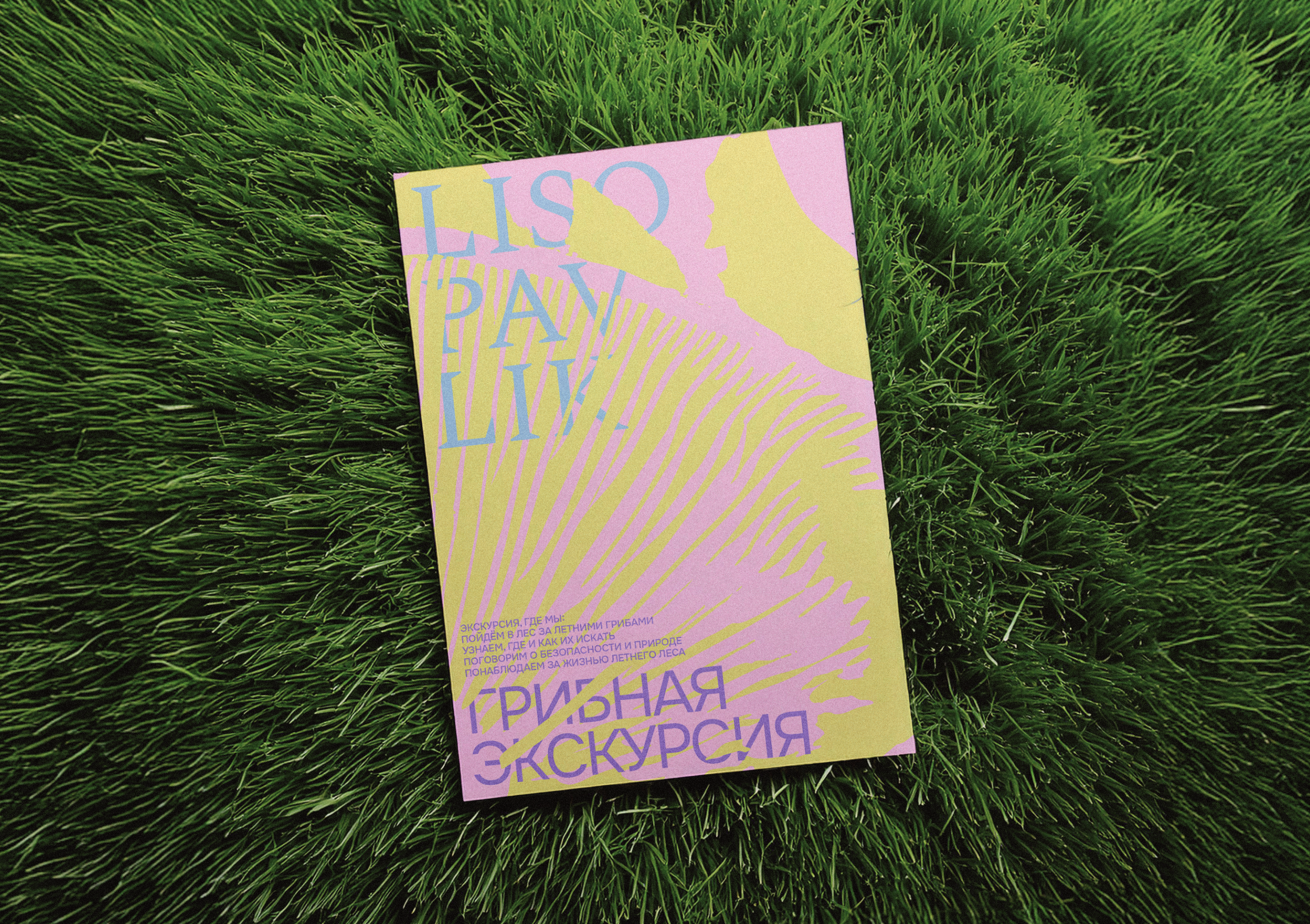 LISOPAVLIK — Изображение №2 — Брендинг на Dprofile