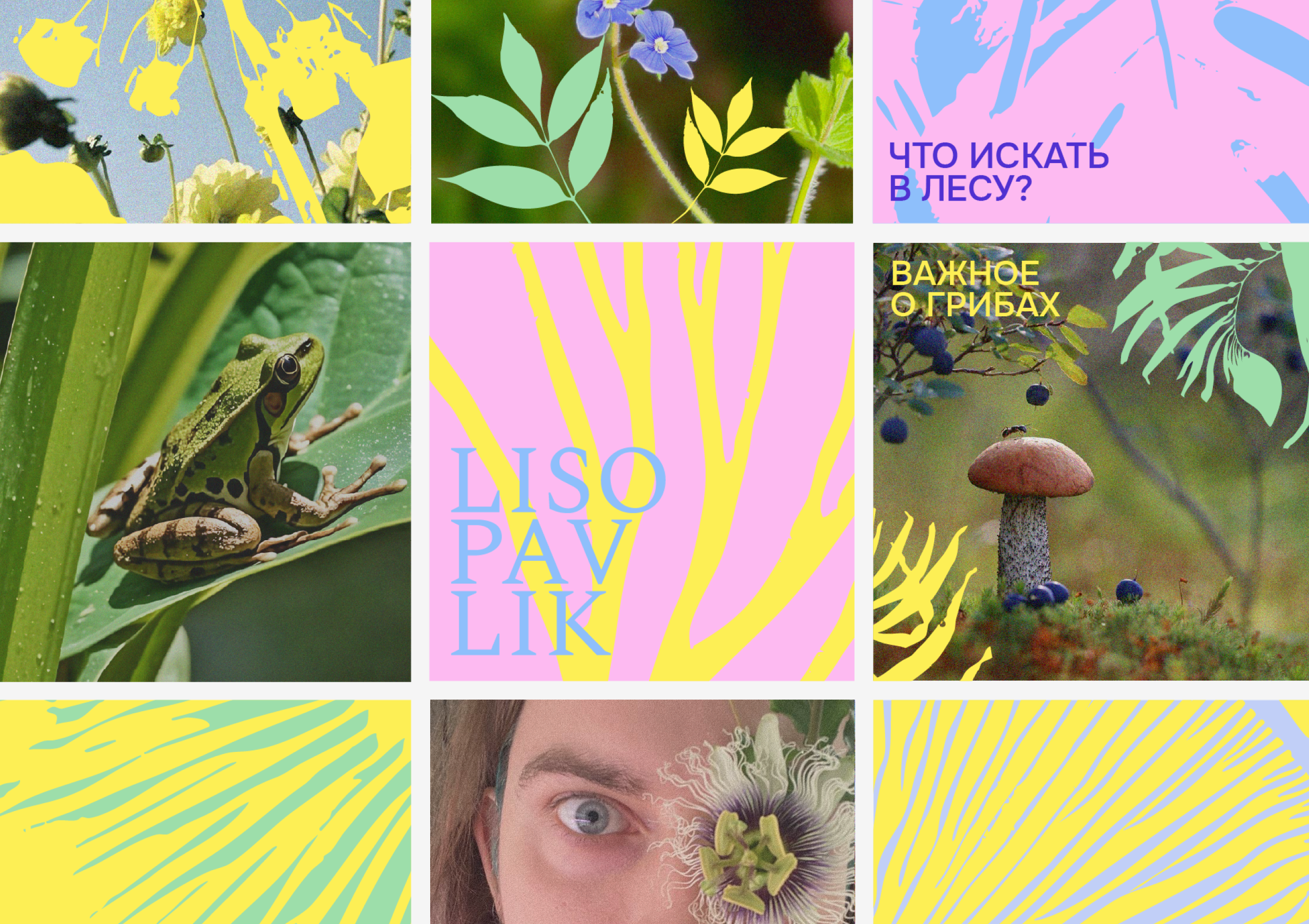 LISOPAVLIK — Изображение №3 — Брендинг на Dprofile