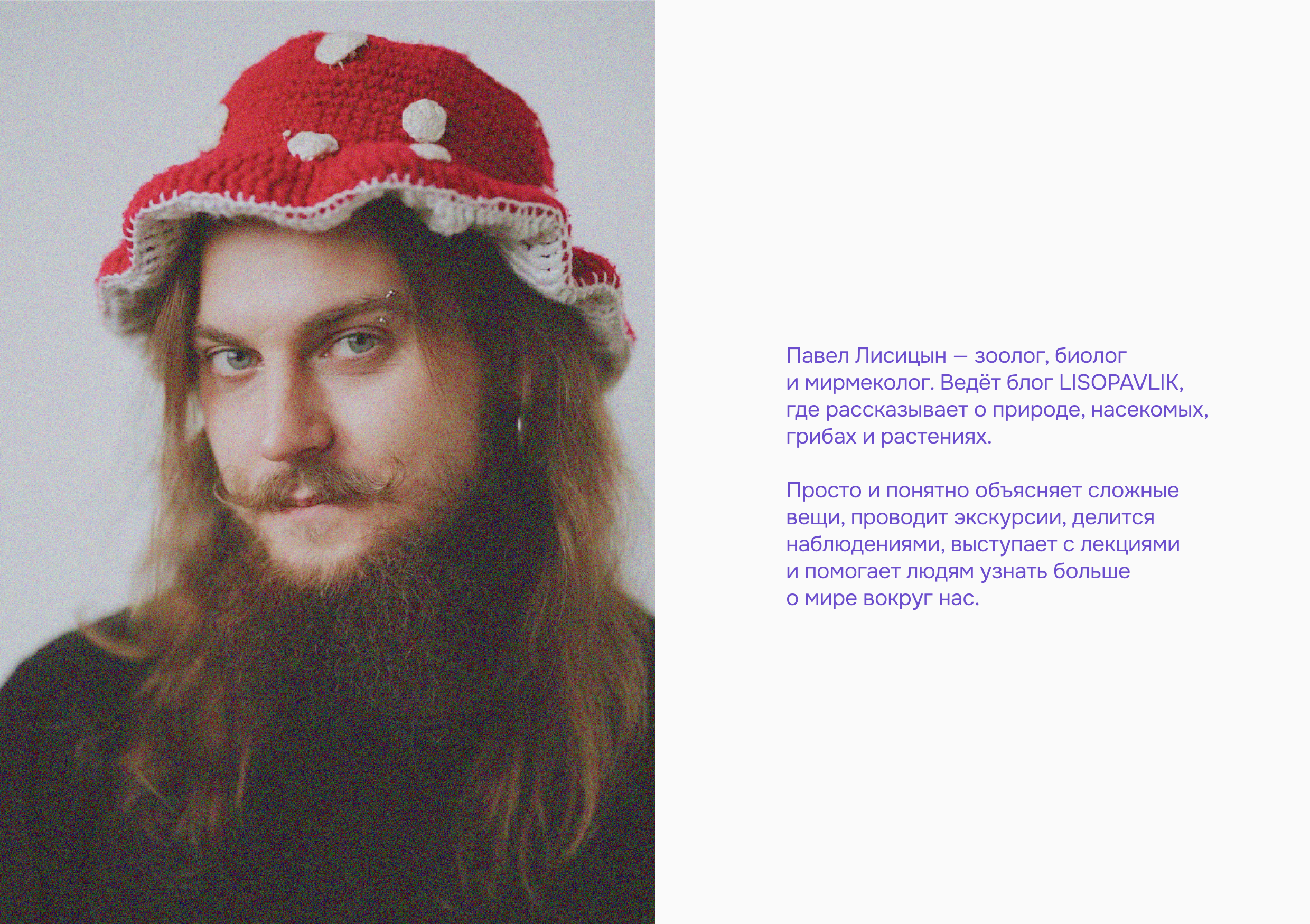 LISOPAVLIK — Изображение №1 — Брендинг на Dprofile