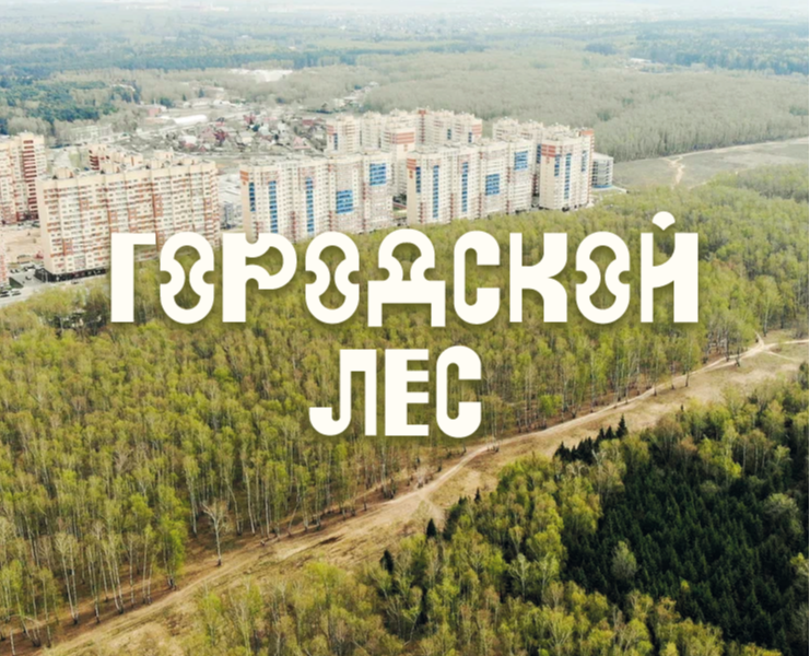 Навигация и айдентика для лесопарка «Городской лес» на Dprofile