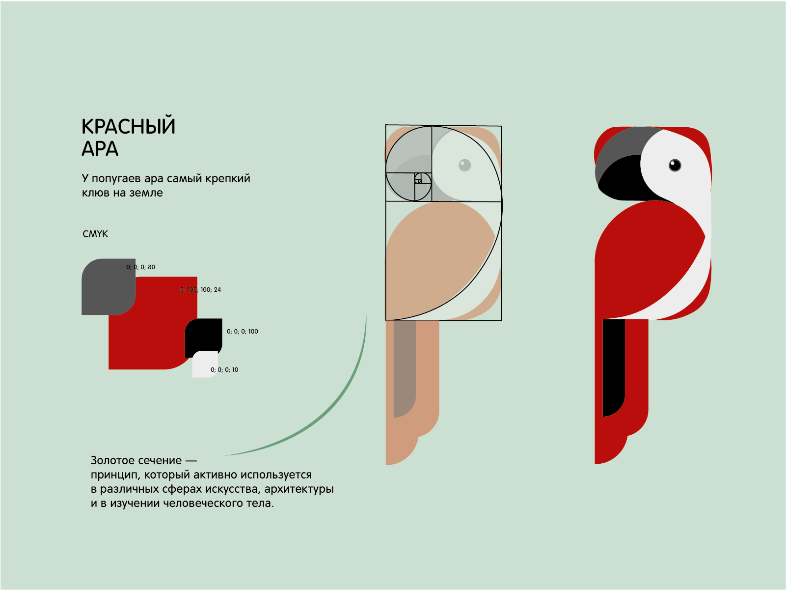 Серия пиктограмм на тему птиц — Изображение №3 — Графика, Маркетинг на Dprofile