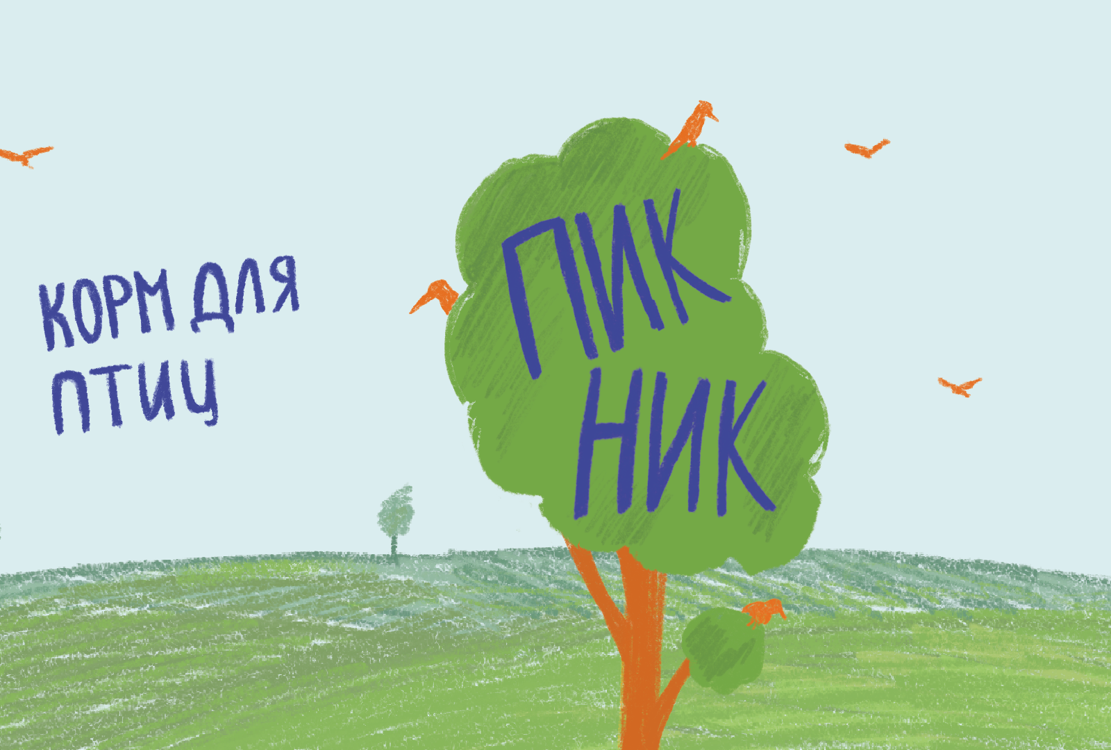Корм для птиц «Пикник» — Изображение №1 — Интерфейсы, Брендинг на Dprofile