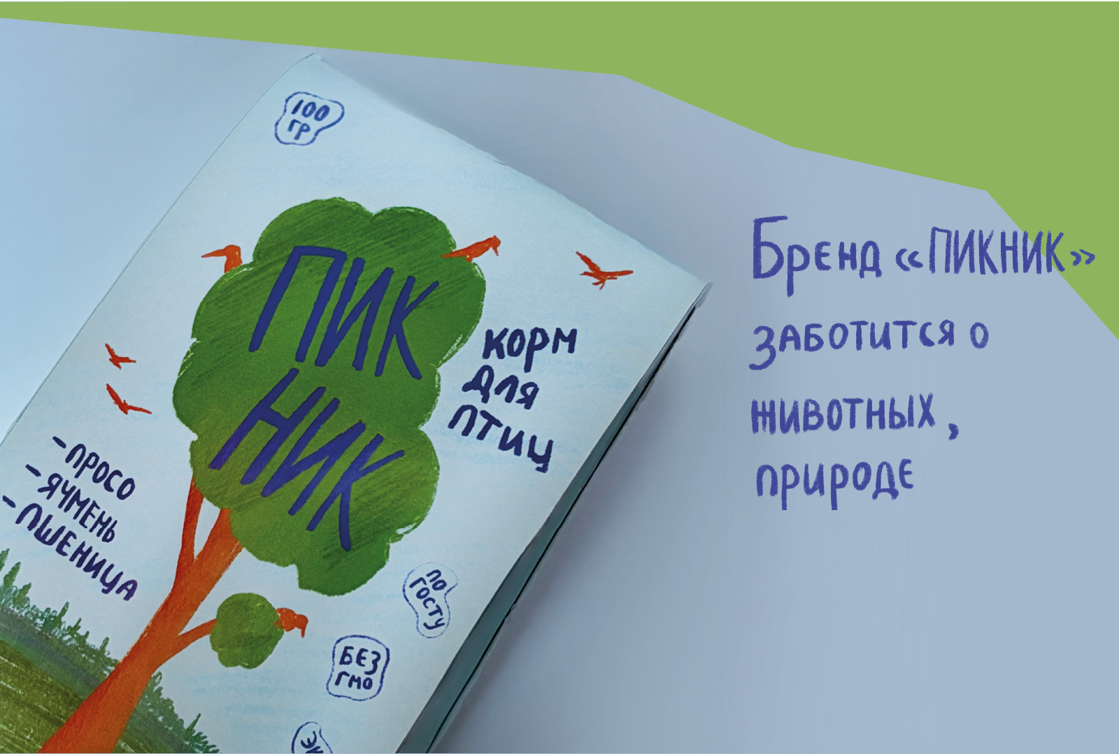 Корм для птиц «Пикник» — Изображение №5 — Интерфейсы, Брендинг на Dprofile