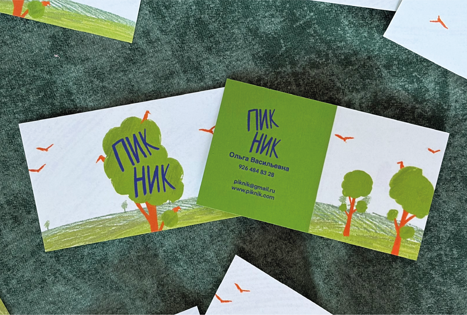 Корм для птиц «Пикник» — Изображение №4 — Интерфейсы, Брендинг на Dprofile