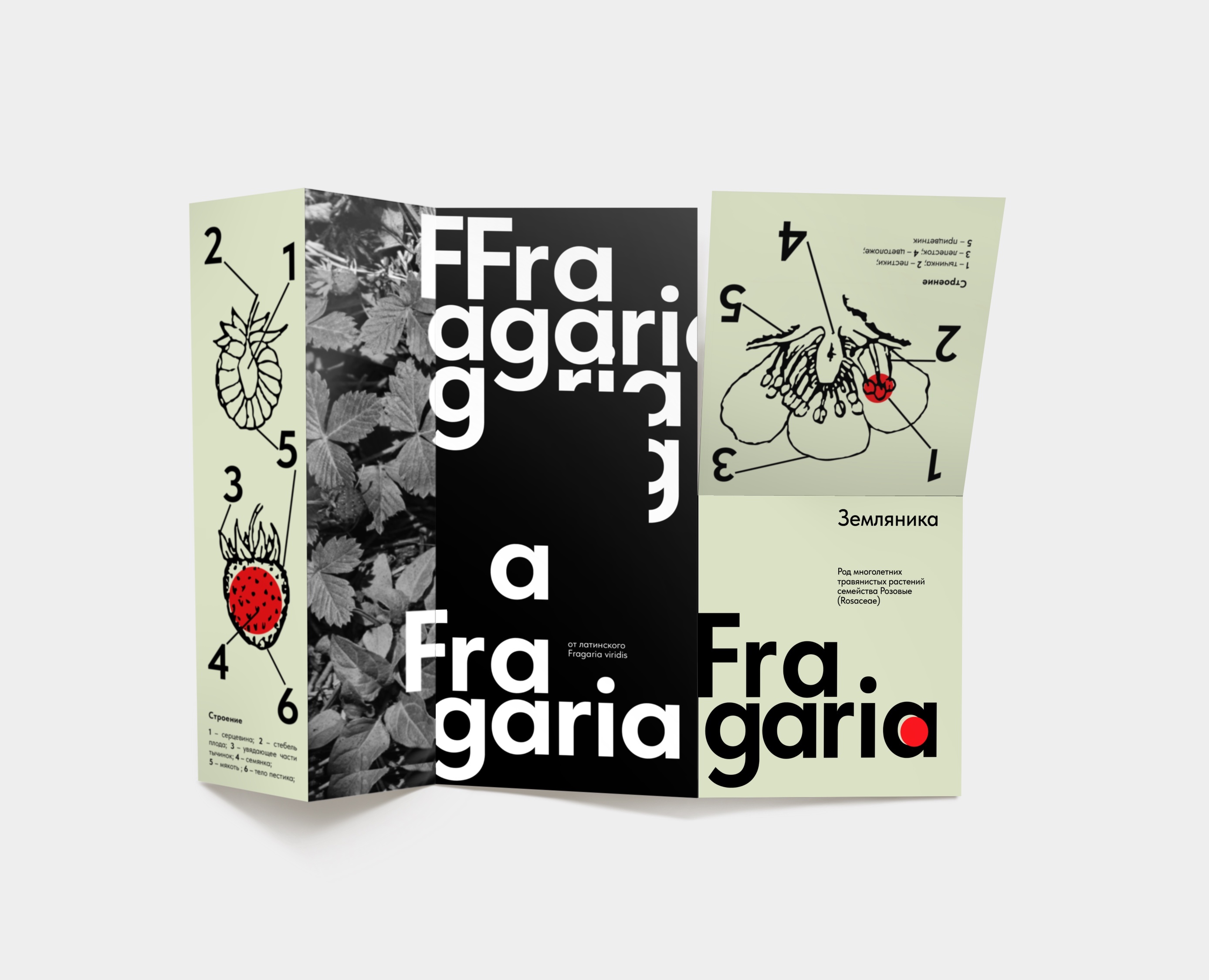 Лифлет — Графика на Dprofile