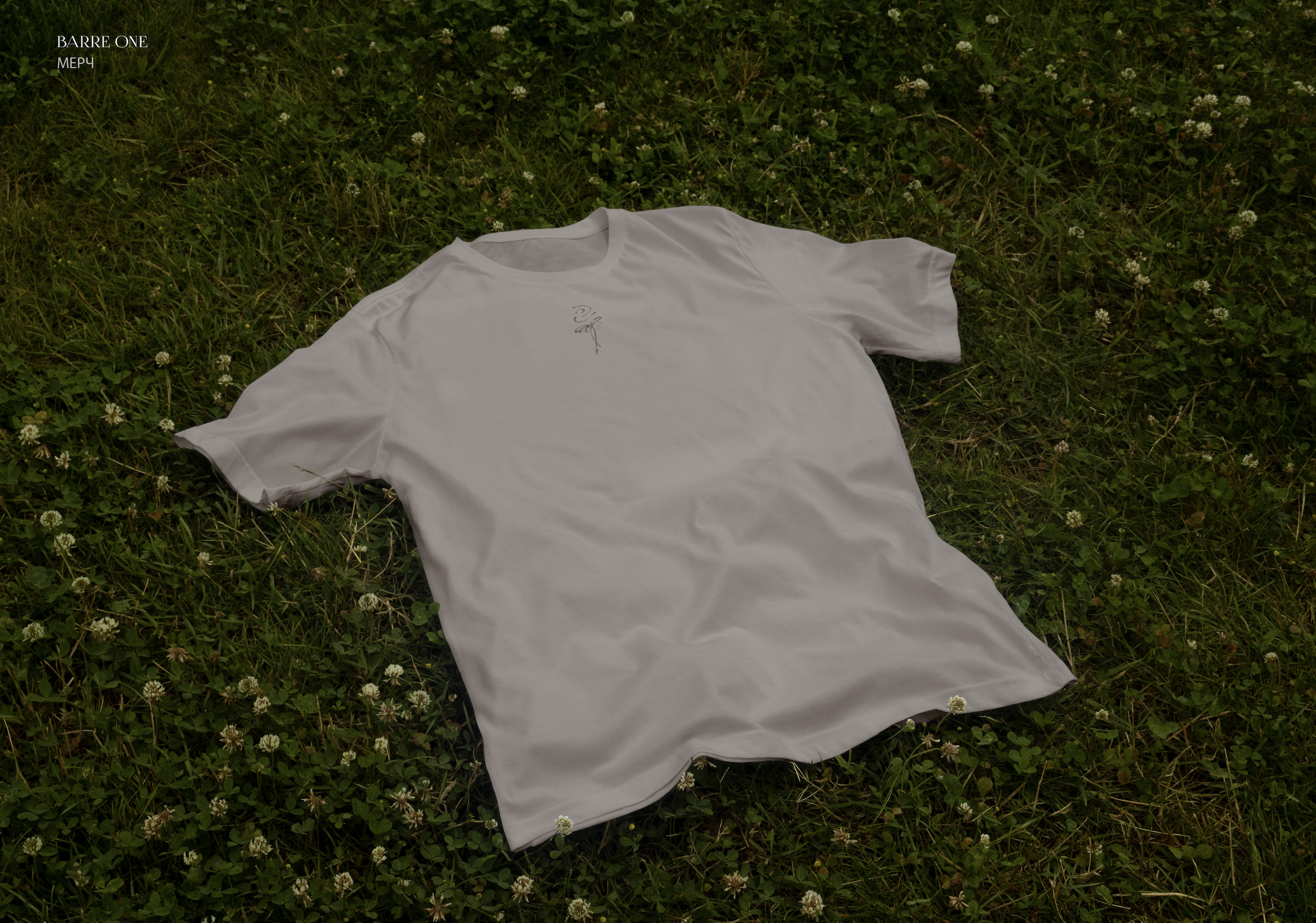 Barre One — Изображение №10 — Брендинг на Dprofile