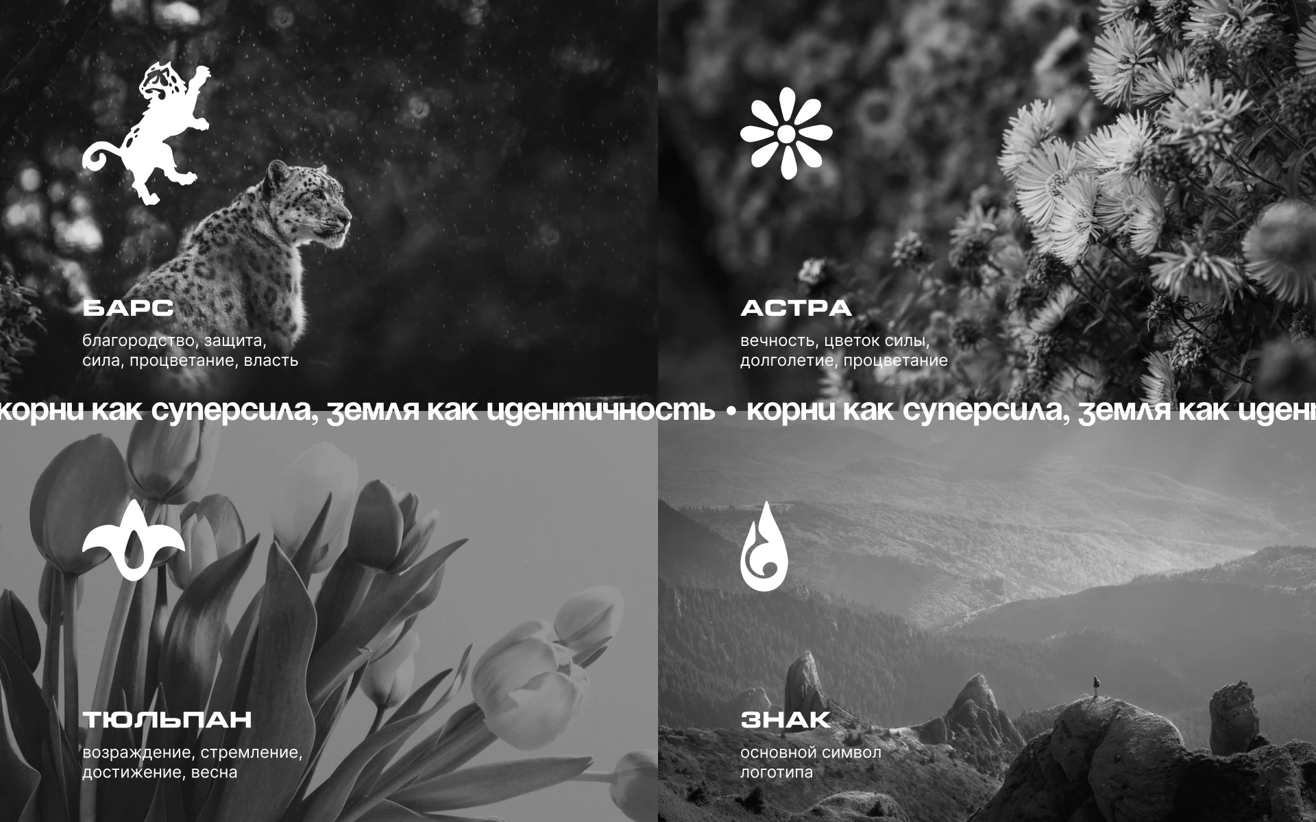 Дизайн концепция мерча для завода «Татспиртпромт» — Изображение №5 — Брендинг на Dprofile