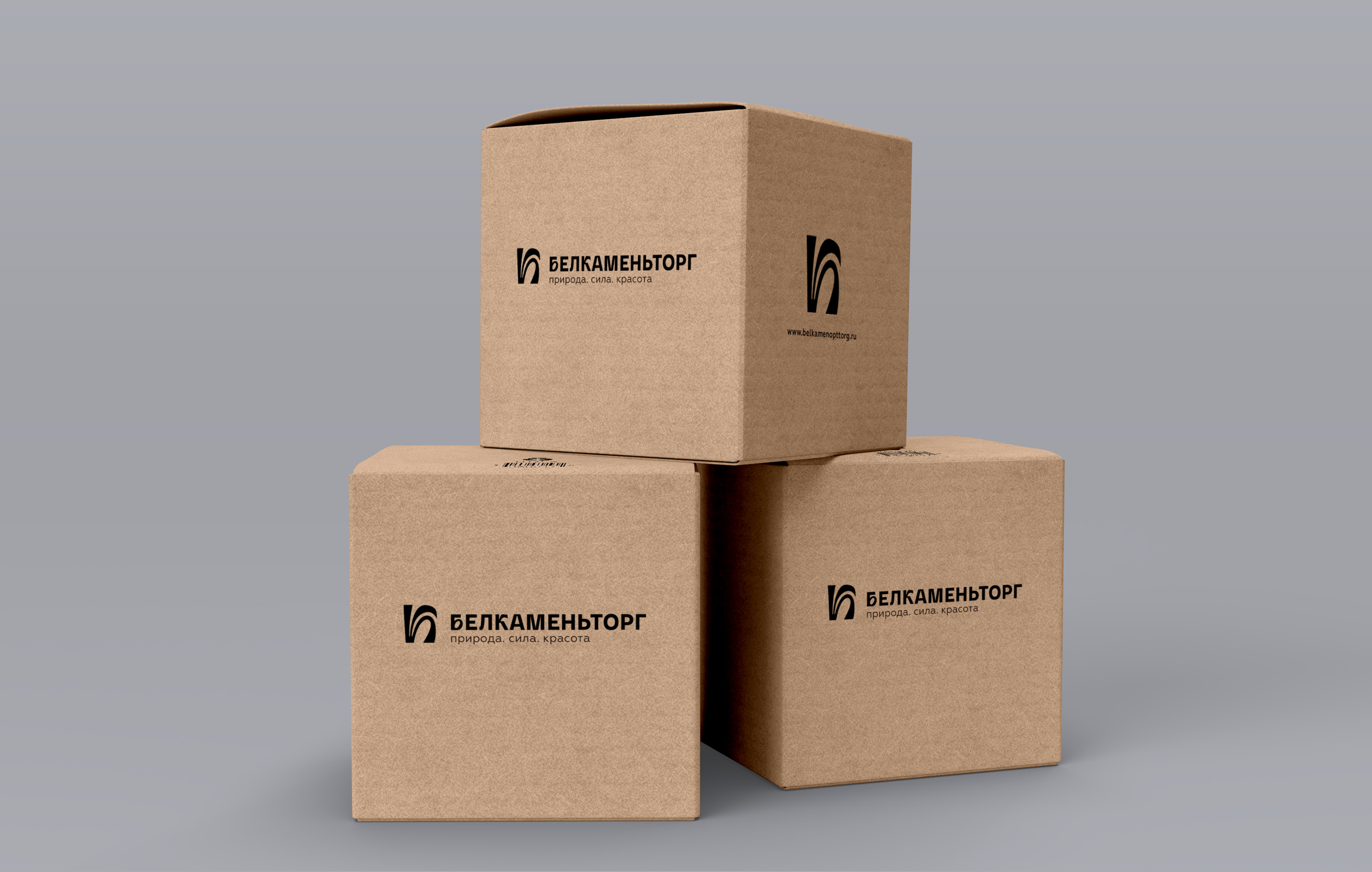 Логотип с длинным названием — Изображение №3 — Брендинг на Dprofile