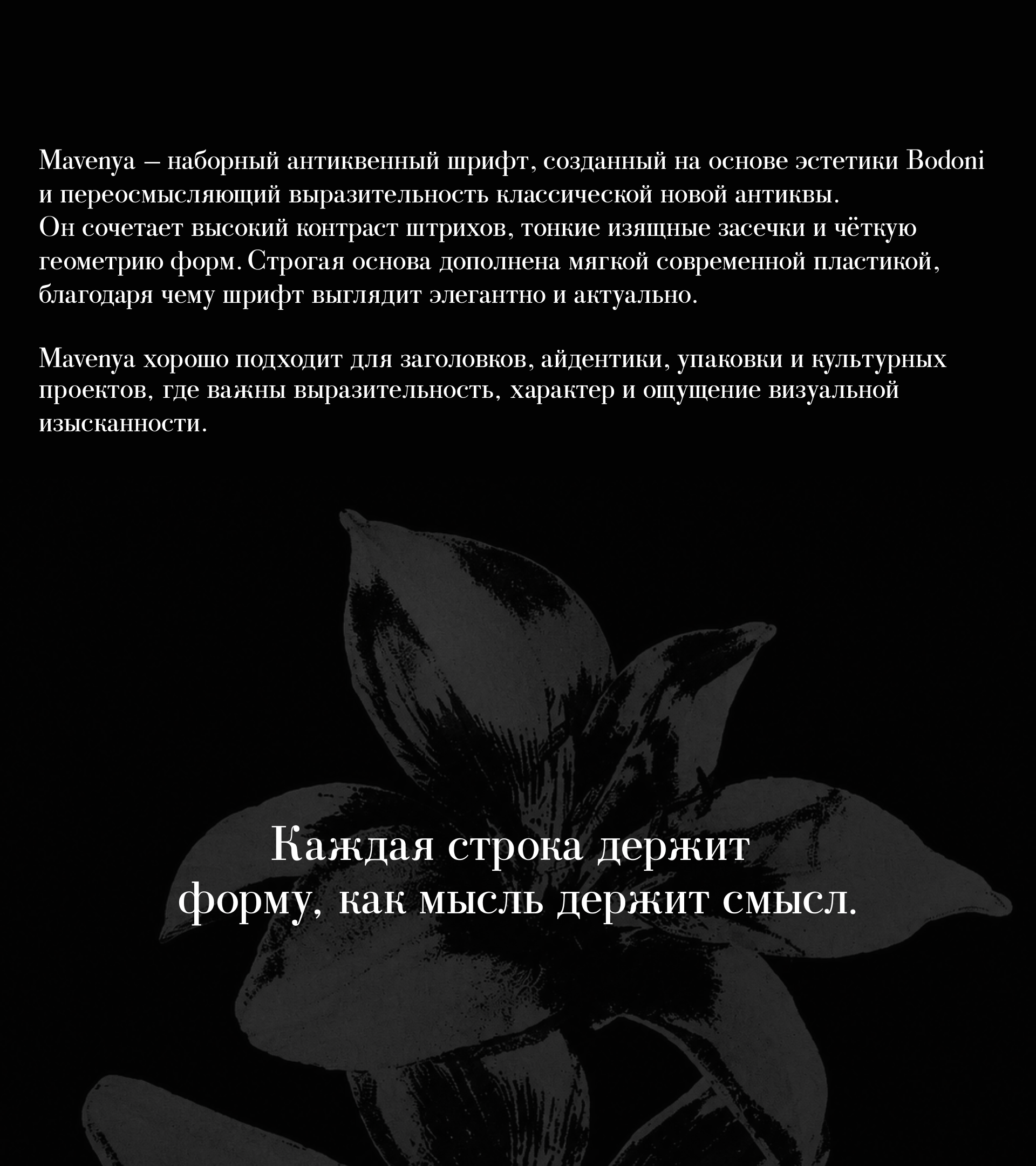 Шрифт "MAVENYA" — Изображение №2 — Графика на Dprofile