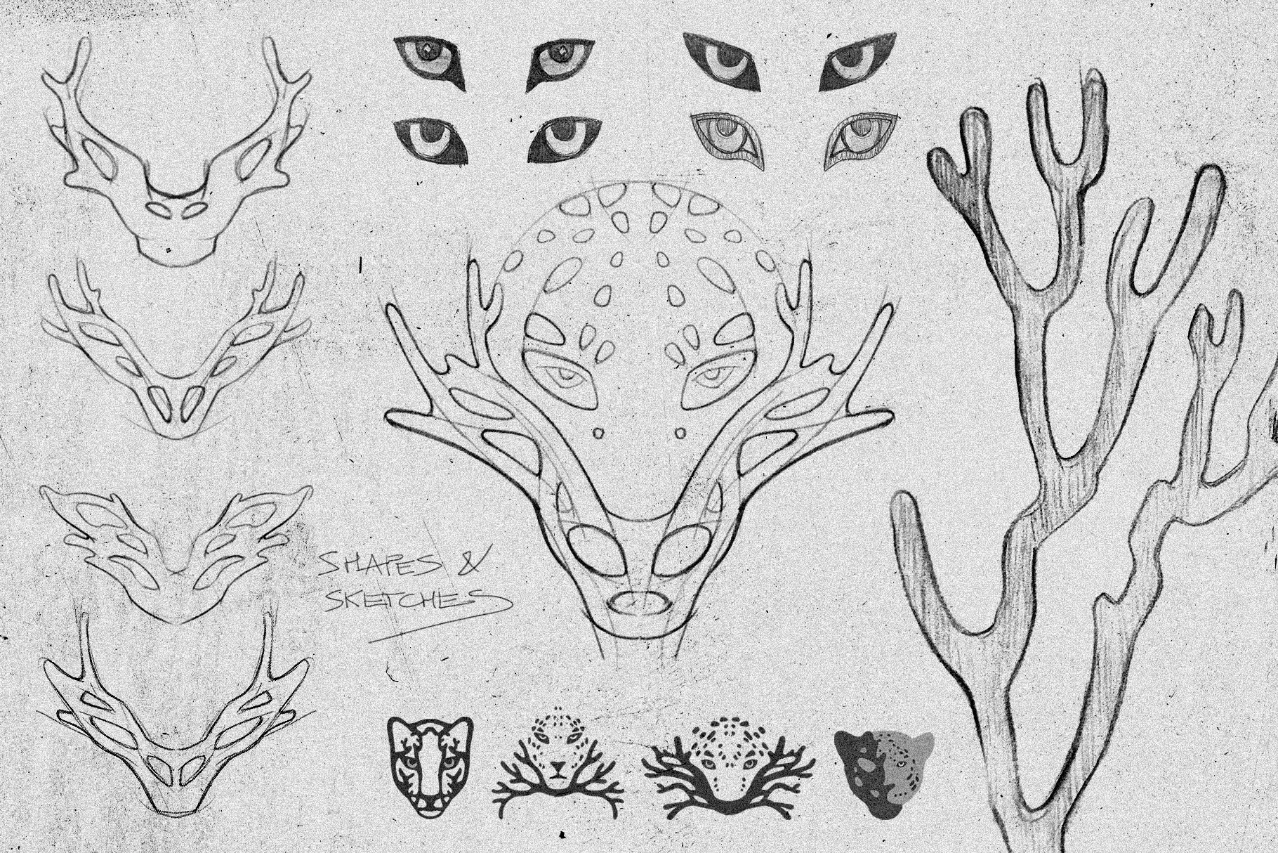 Coral Maya Conservation Logo & Illustrations — Изображение №5 — Брендинг на Dprofile