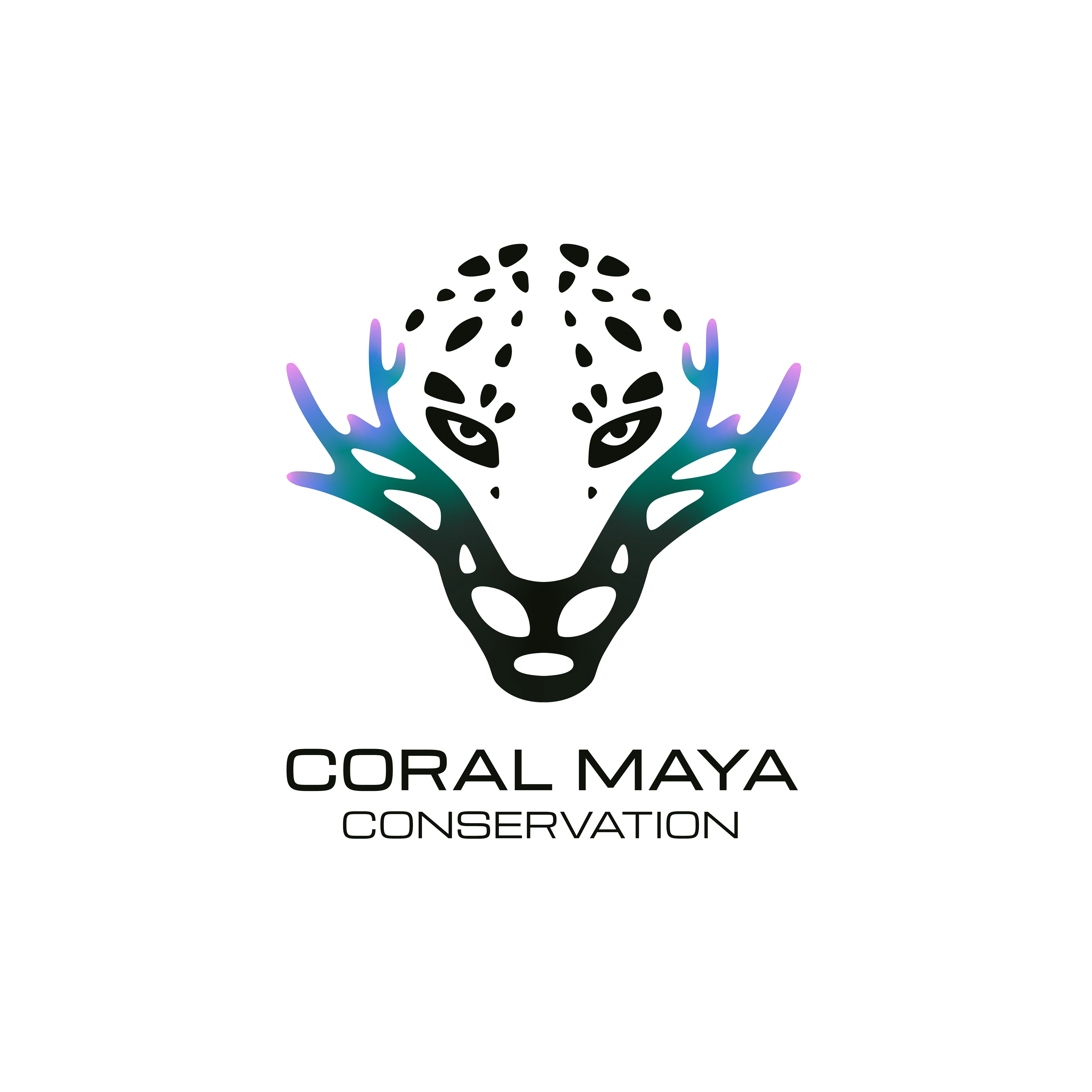 Coral Maya Conservation Logo & Illustrations — Изображение №2 — Брендинг на Dprofile