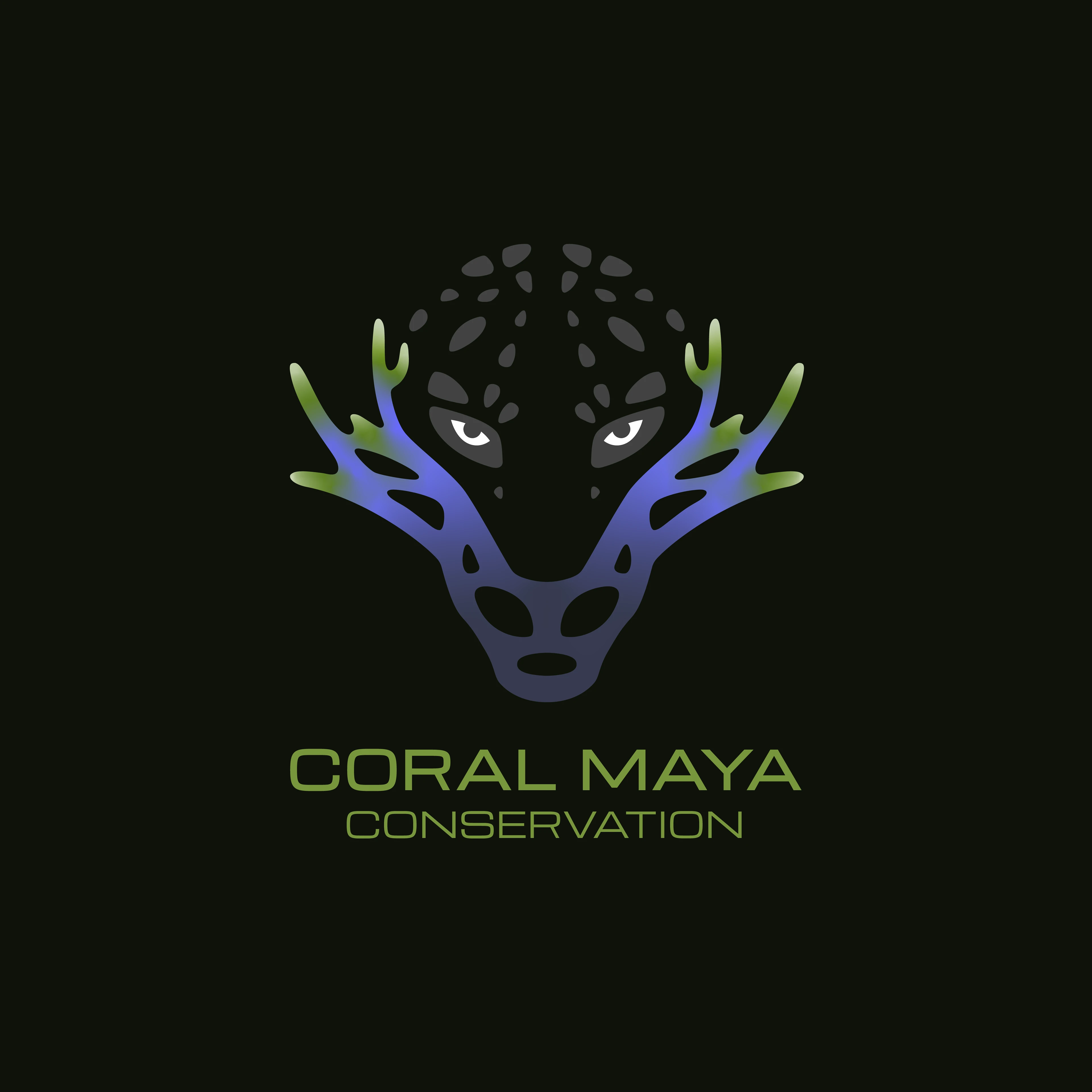 Coral Maya Conservation Logo & Illustrations — Изображение №4 — Брендинг на Dprofile