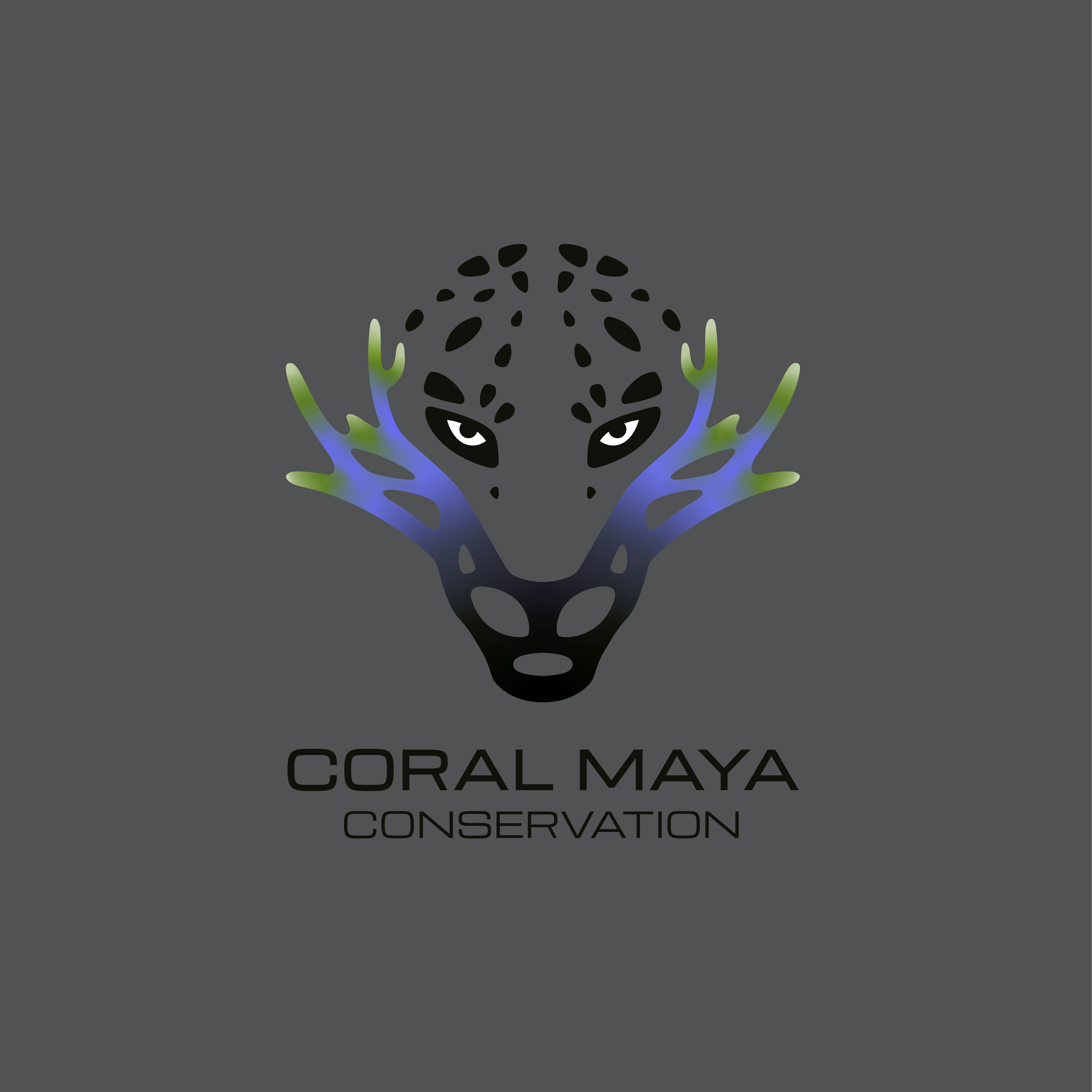 Coral Maya Conservation Logo & Illustrations — Изображение №3 — Брендинг на Dprofile