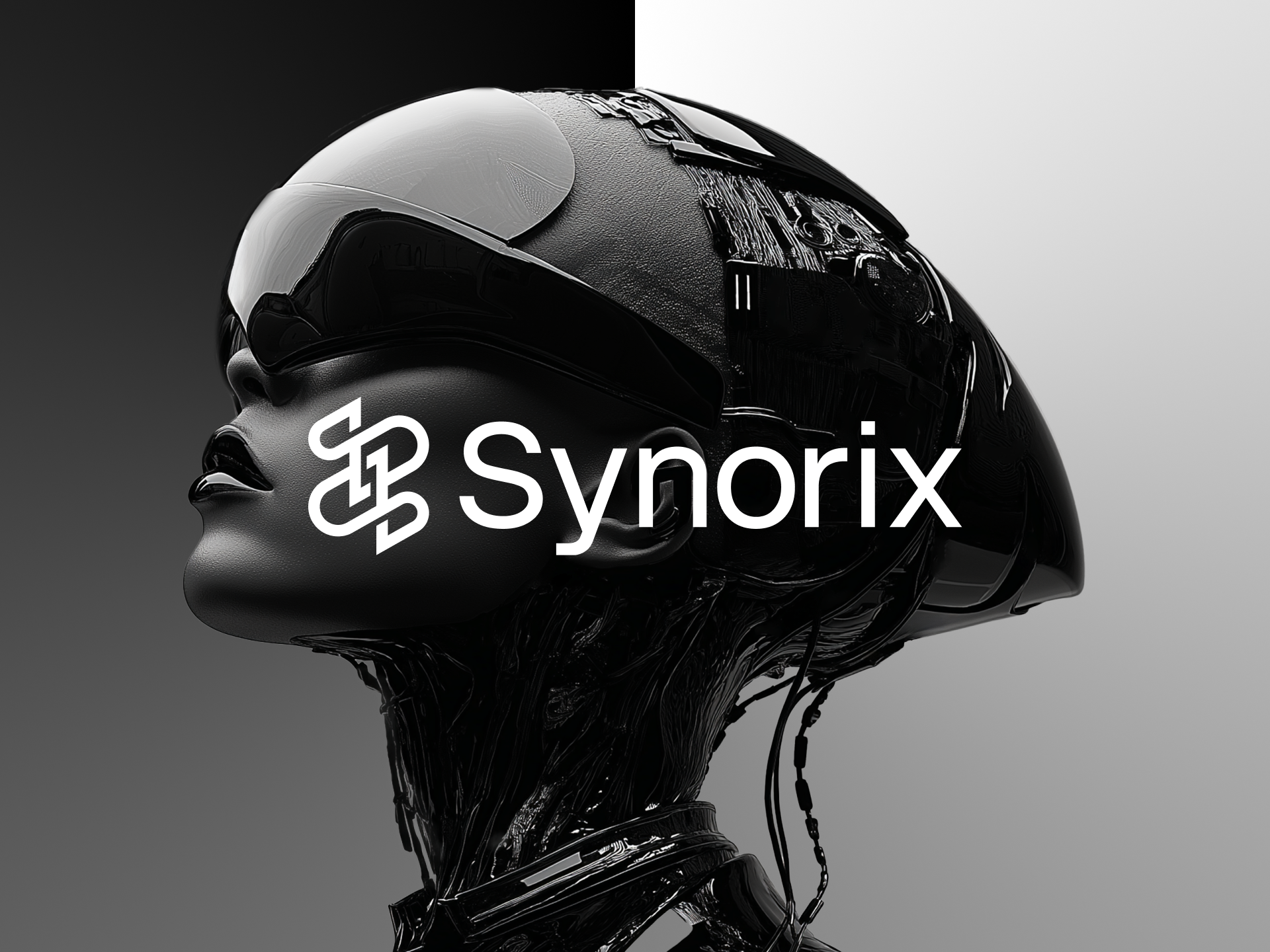 Synorix — Изображение №1 — Брендинг на Dprofile
