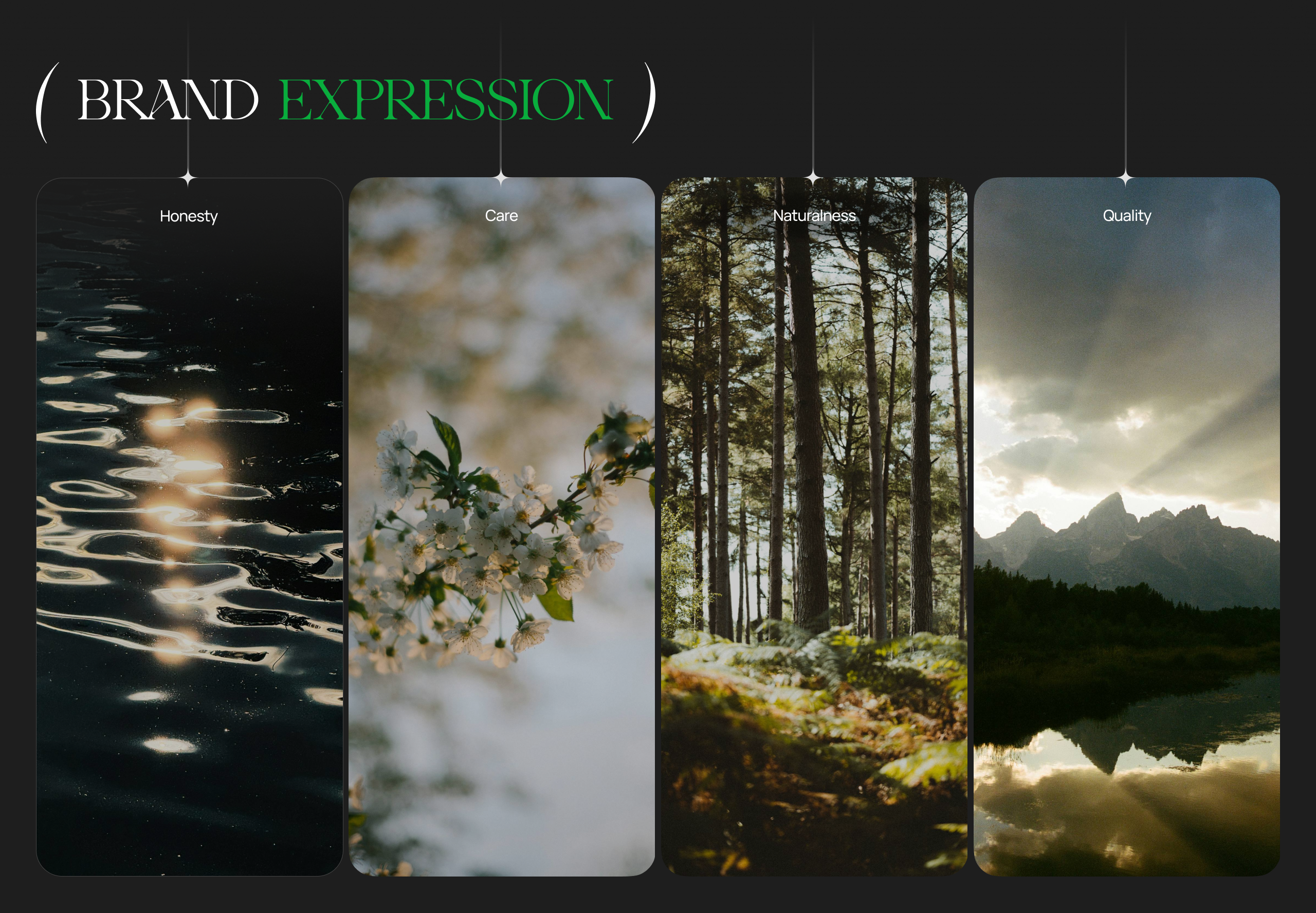 Разработка айдентики медицинского центра / Mangustin — Изображение №6 — Брендинг, Иллюстрация на Dprofile