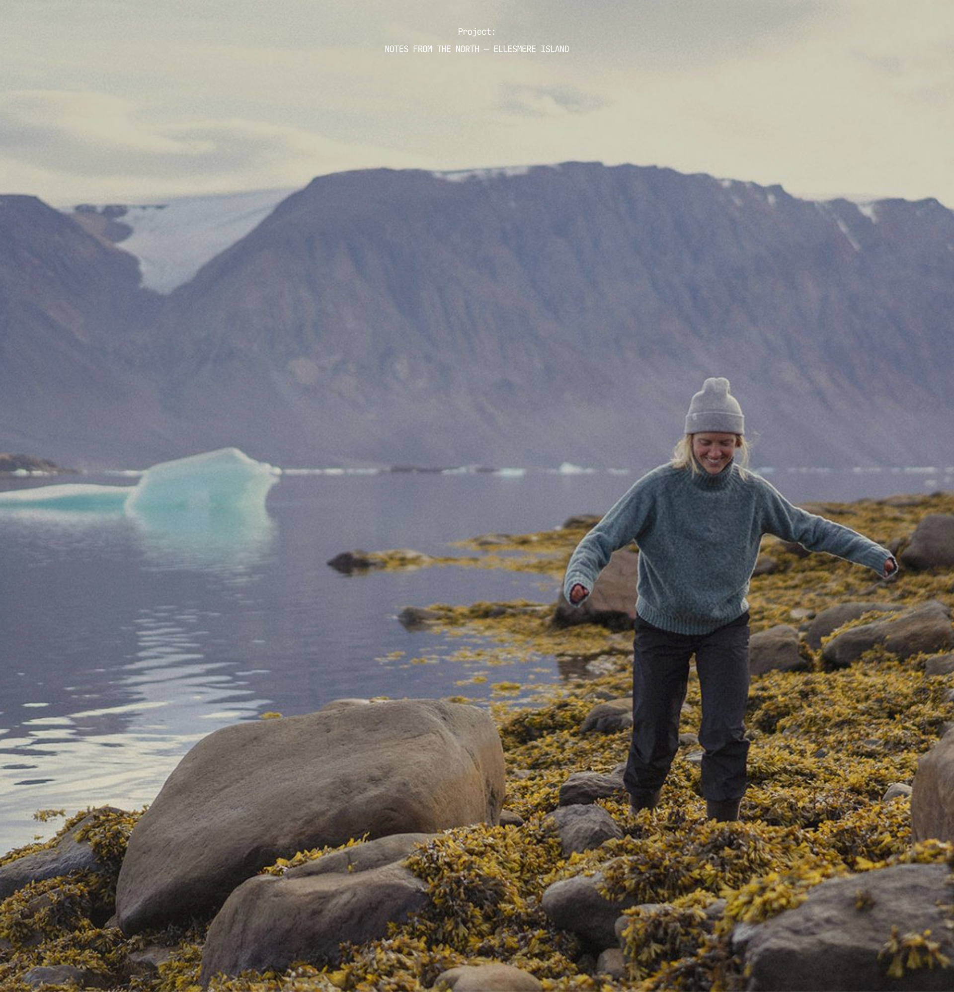 Norse® | Redesign concept — Изображение №4 — Интерфейсы, Брендинг на Dprofile