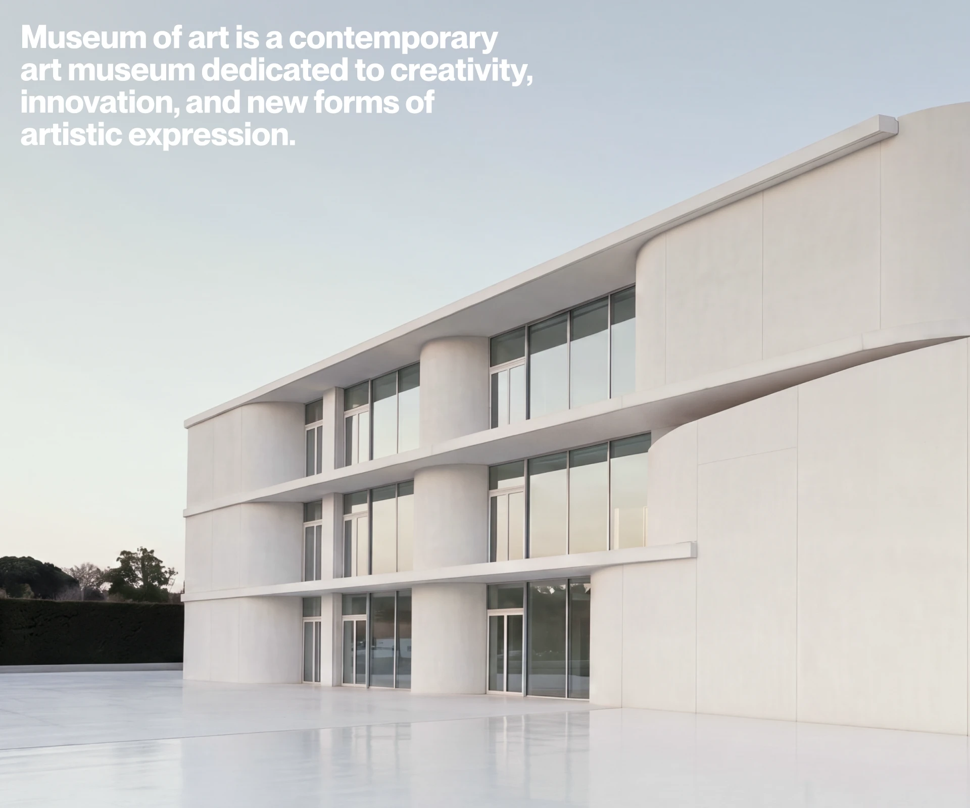 Museum of art — Изображение №1 — Интерфейсы, Брендинг на Dprofile