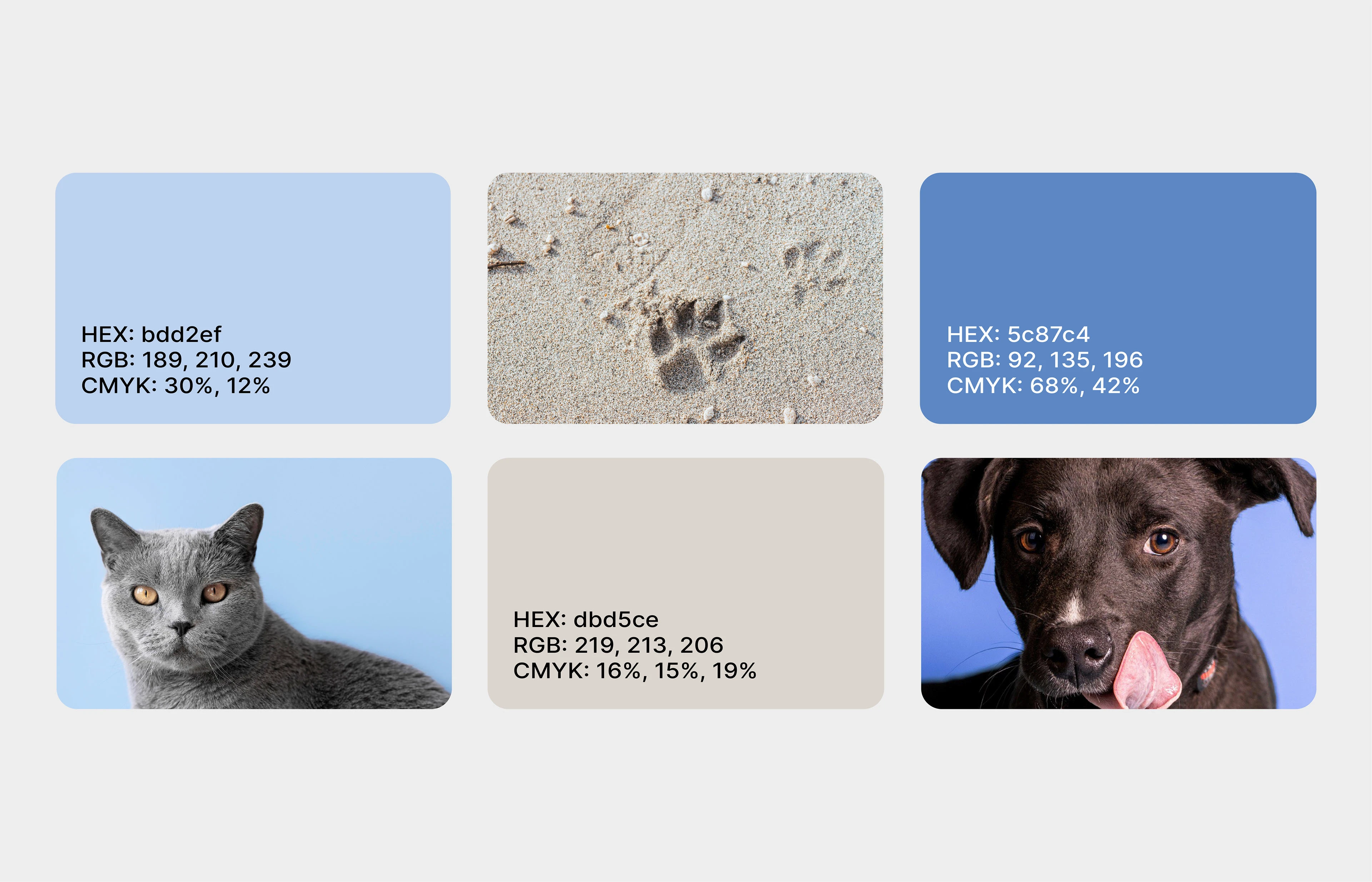 Ветеринарный кабинет | лого и фирменный стиль — Изображение №5 — Брендинг на Dprofile