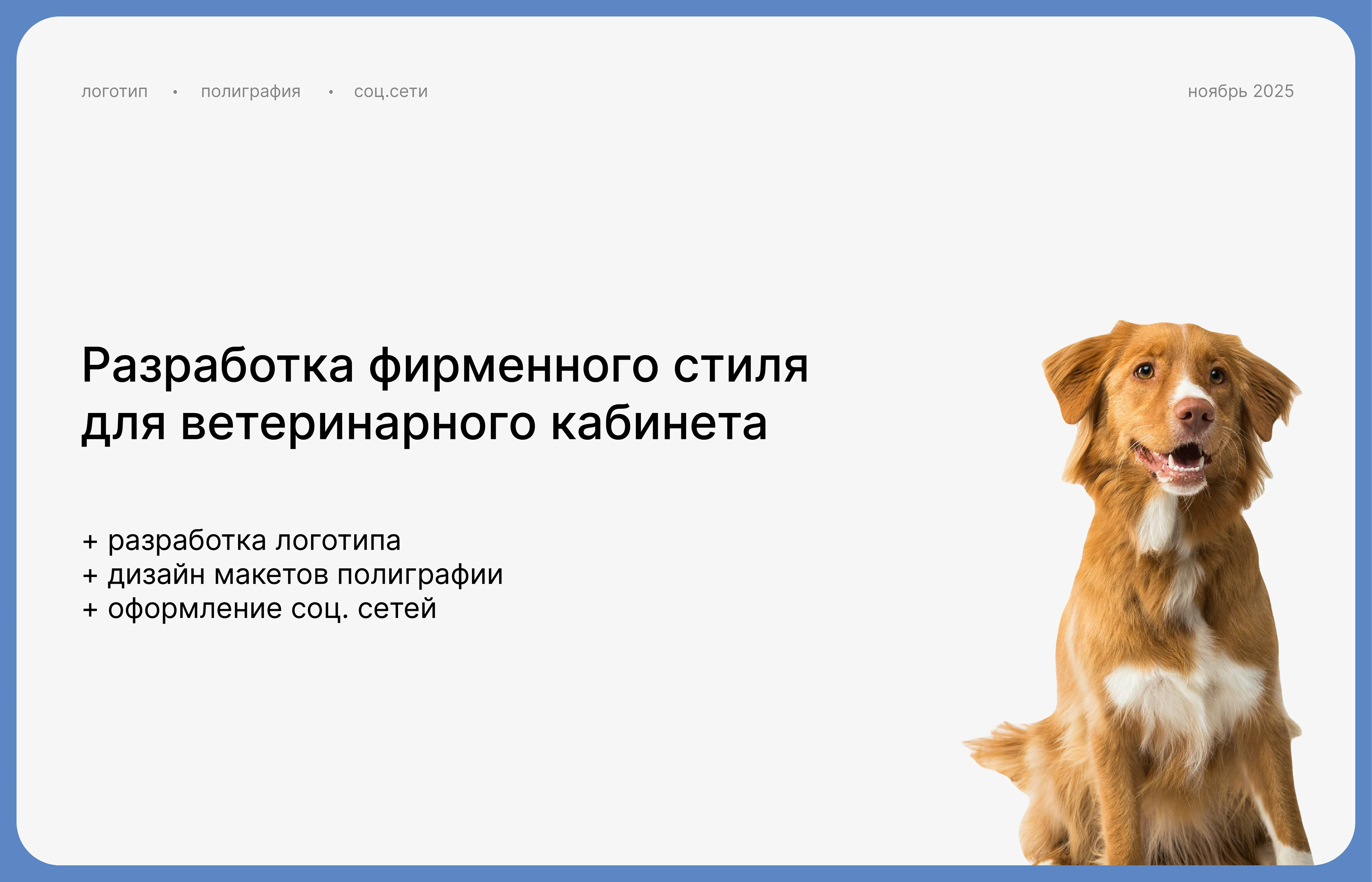 Ветеринарный кабинет | лого и фирменный стиль — Изображение №1 — Брендинг на Dprofile
