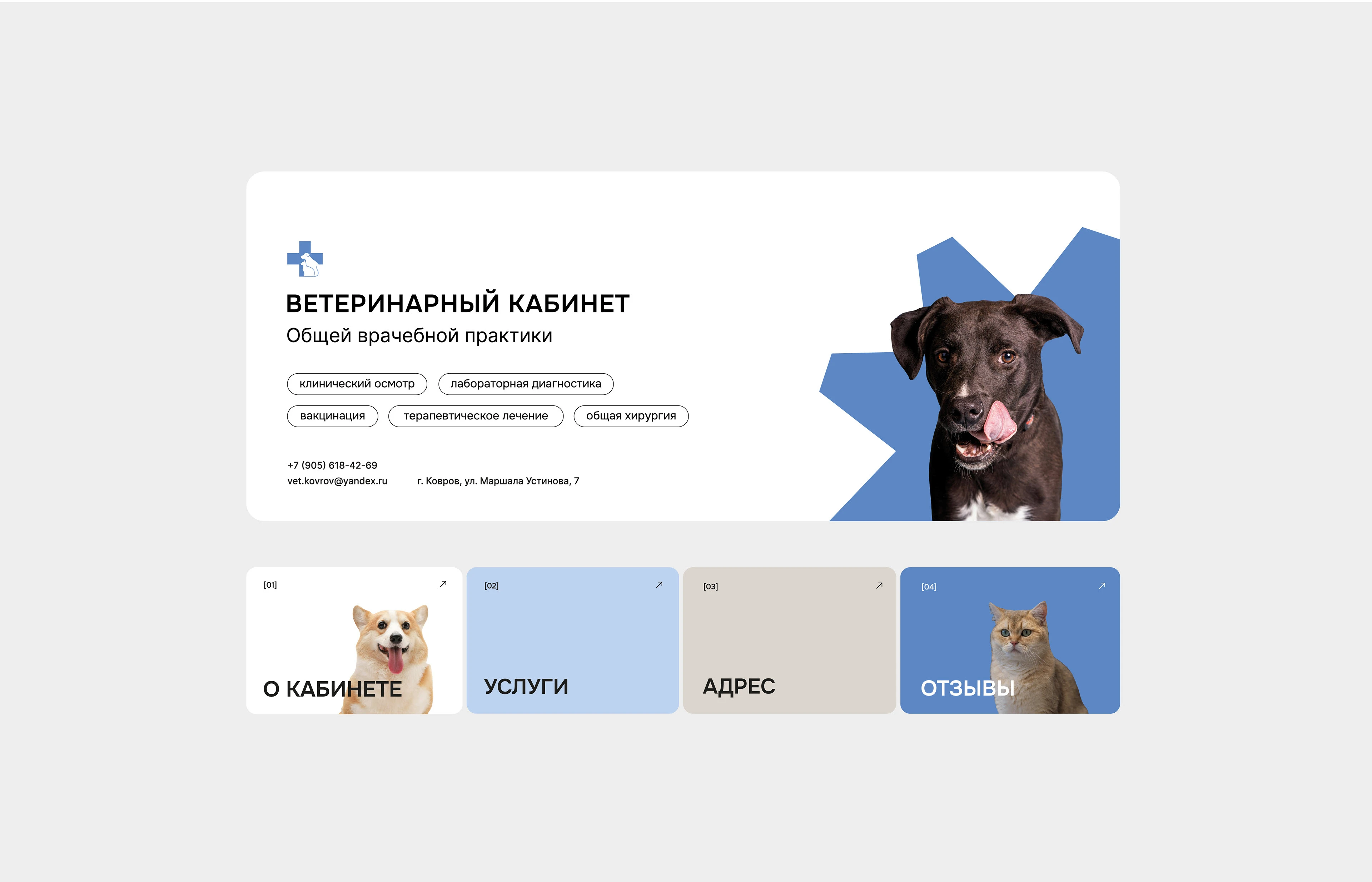 Ветеринарный кабинет | лого и фирменный стиль — Изображение №7 — Брендинг на Dprofile