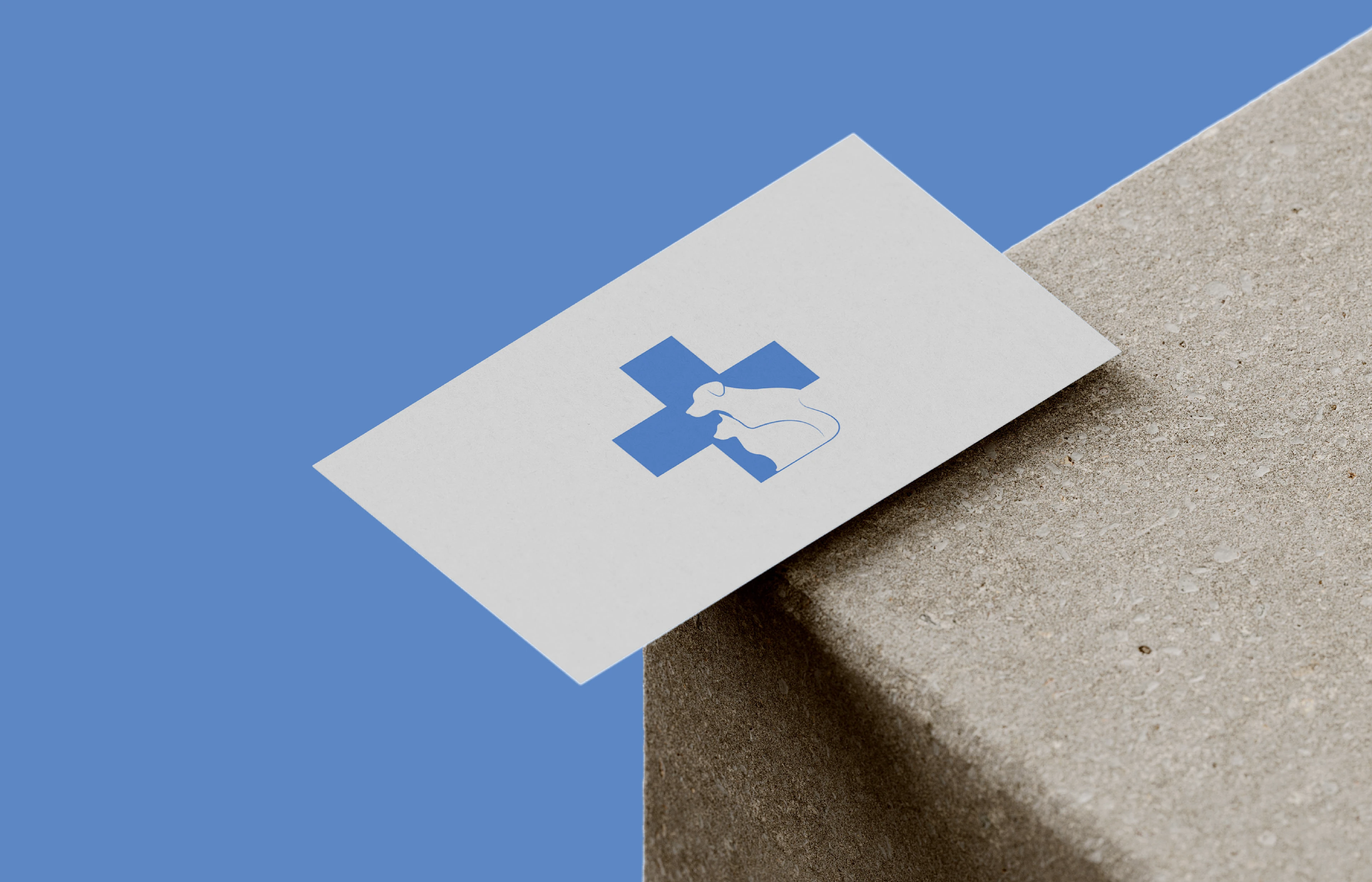 Ветеринарный кабинет | лого и фирменный стиль — Изображение №12 — Брендинг на Dprofile