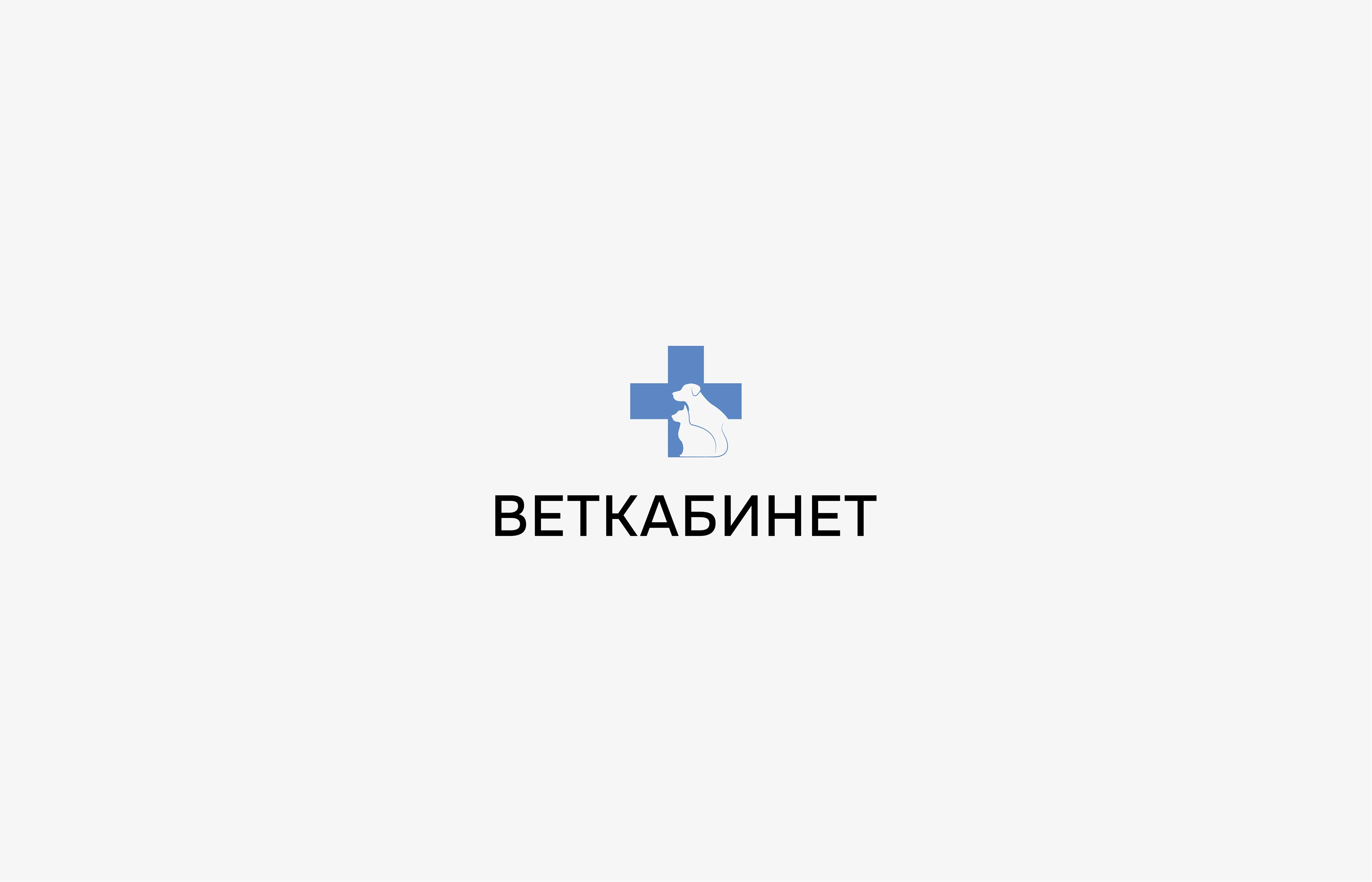 Ветеринарный кабинет | лого и фирменный стиль — Изображение №3 — Брендинг на Dprofile