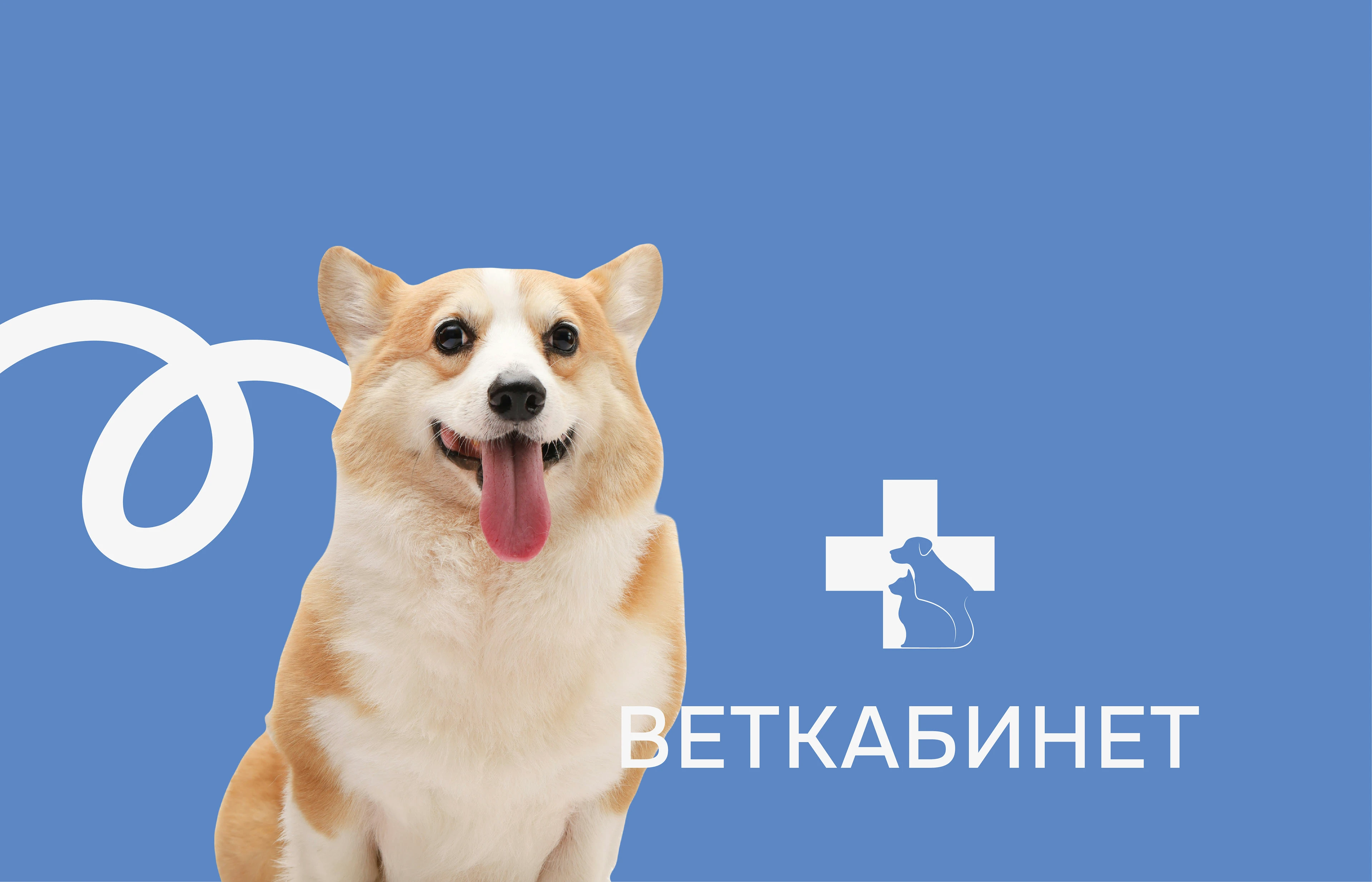Ветеринарный кабинет | лого и фирменный стиль — Изображение №4 — Брендинг на Dprofile