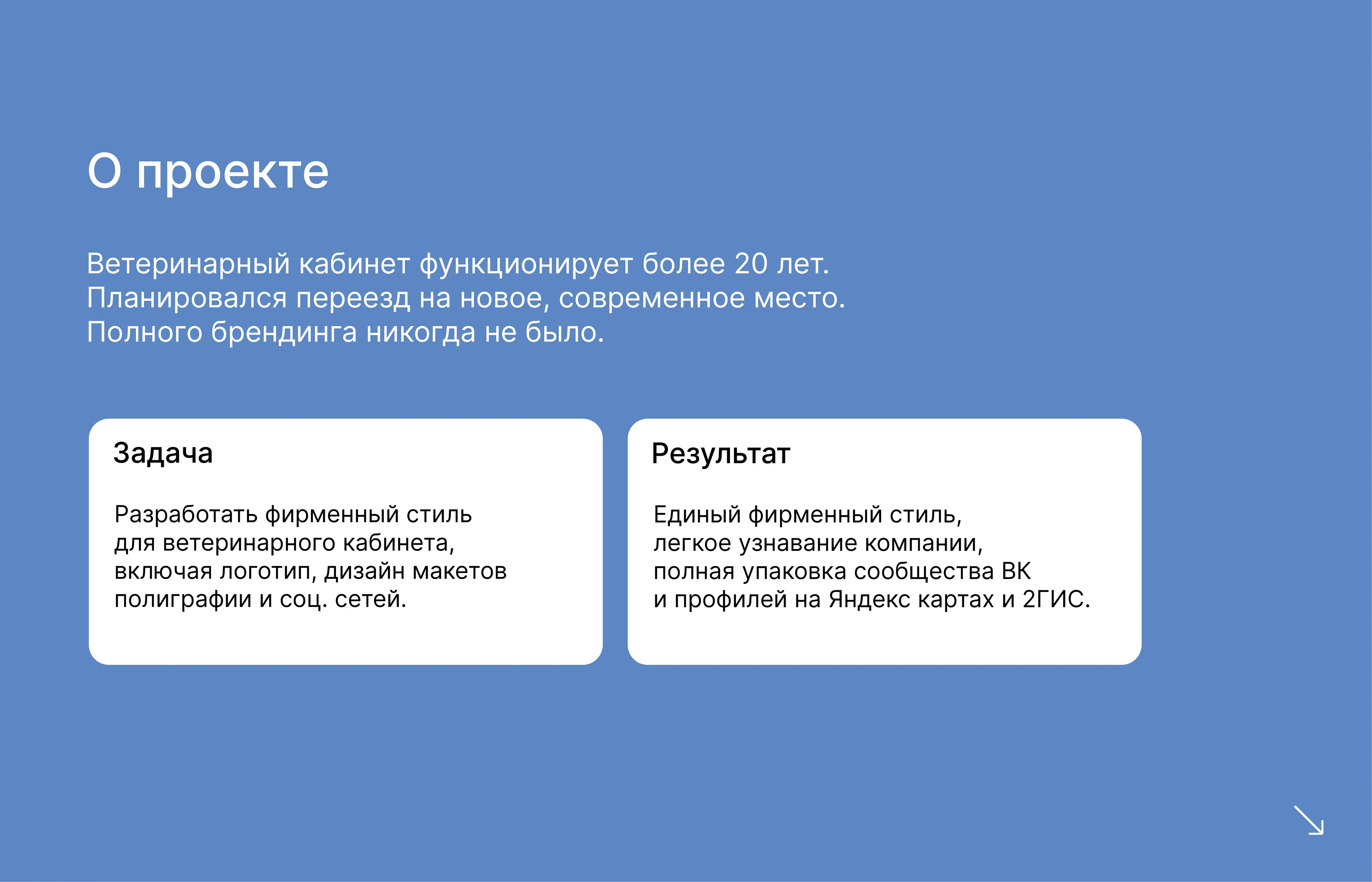 Ветеринарный кабинет | лого и фирменный стиль — Изображение №2 — Брендинг на Dprofile