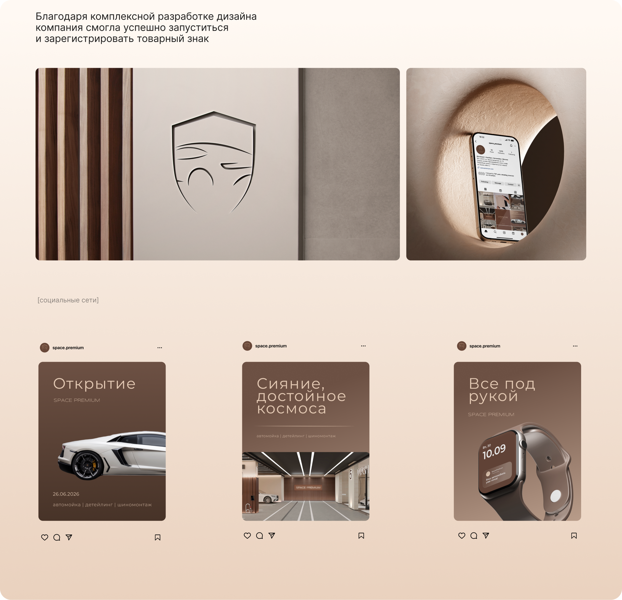 Space Premium | фирменный стиль — Изображение №7 — Брендинг, Графика на Dprofile