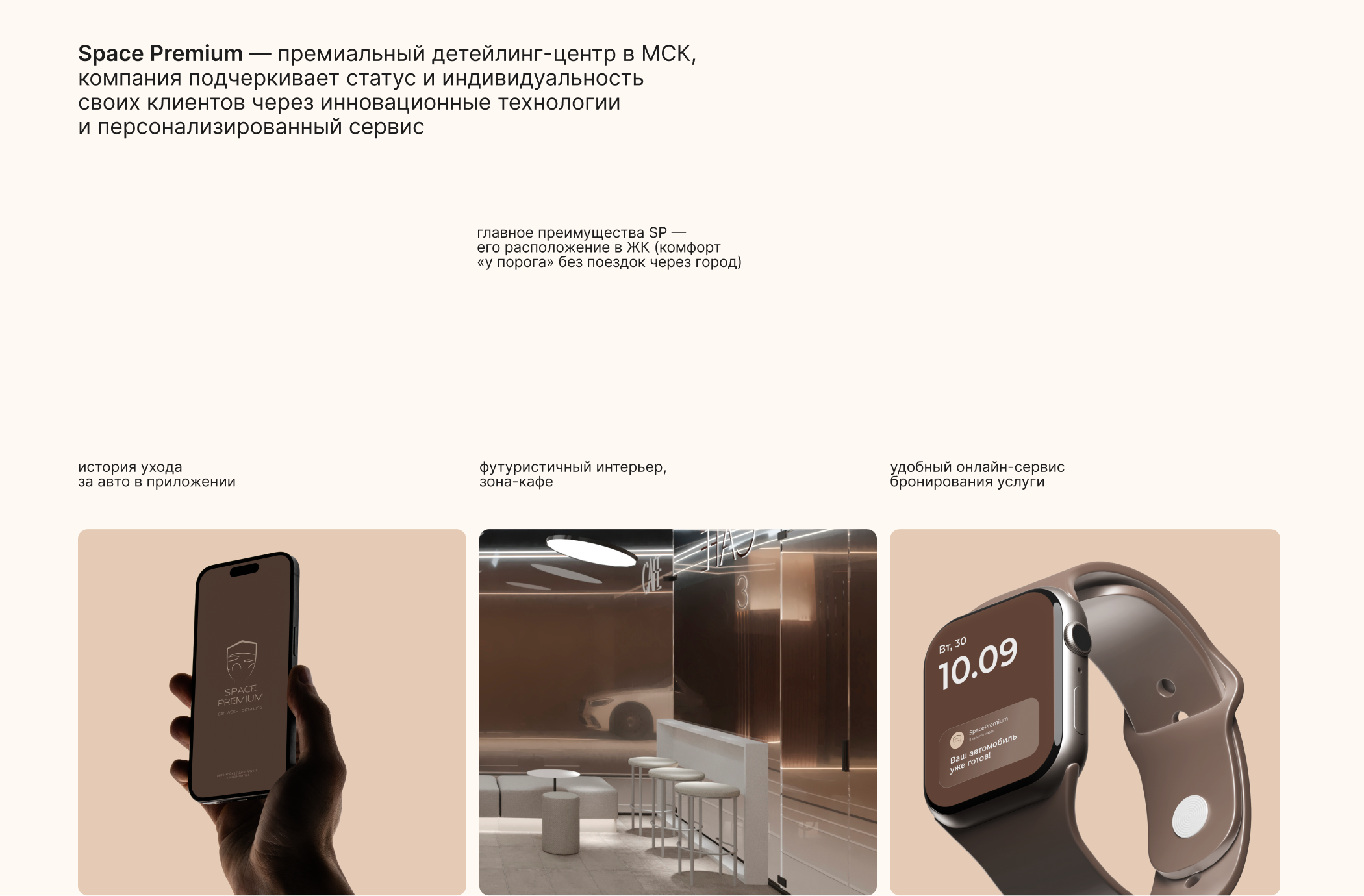Space Premium | фирменный стиль — Изображение №2 — Брендинг, Графика на Dprofile