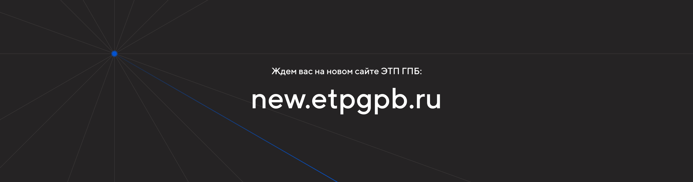 ЭТП ГПБ — Электронная торговая площадка Газпромбанка — Изображение №40 — Интерфейсы на Dprofile
