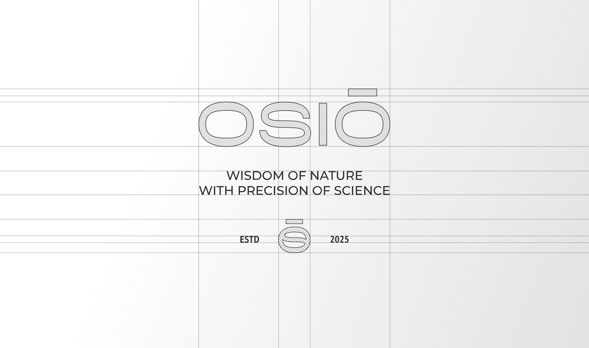 Фирменный стиль для бренда уходовой косметики Osio — Изображение №8 — Брендинг на Dprofile