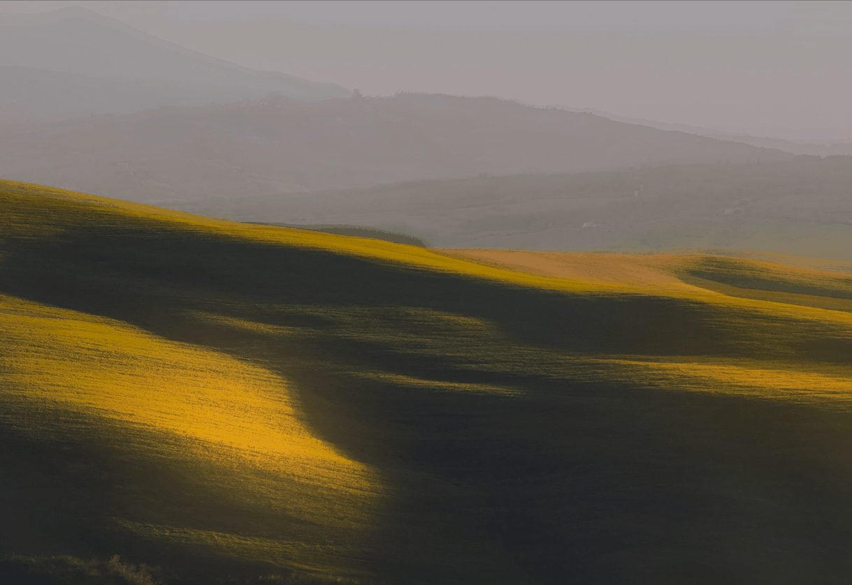 Фирменный стиль для бренда уходовой косметики Osio — Изображение №12 — Брендинг на Dprofile